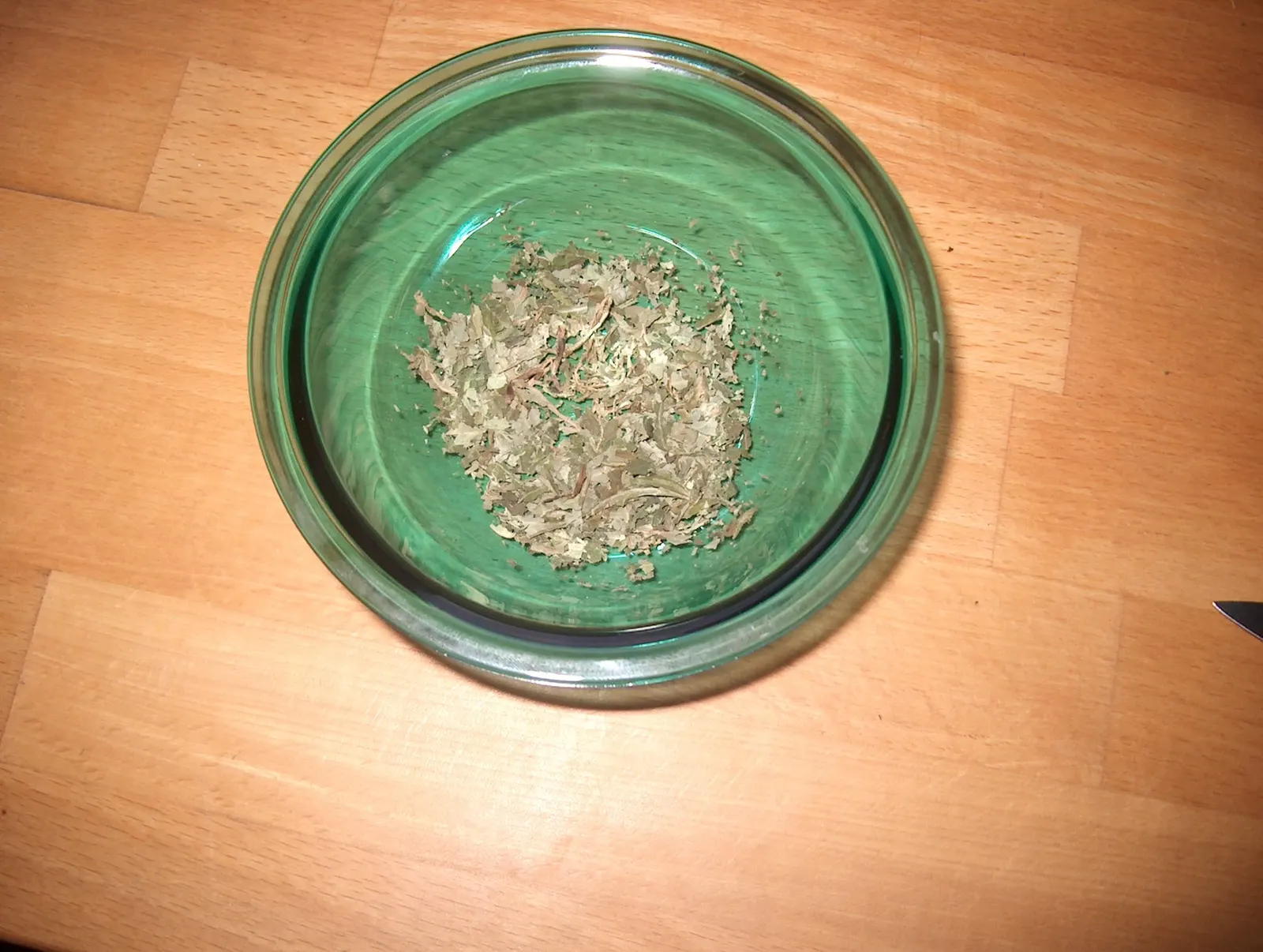 Seer's Sage (Salvia divinorum) — as it is regulated in some states