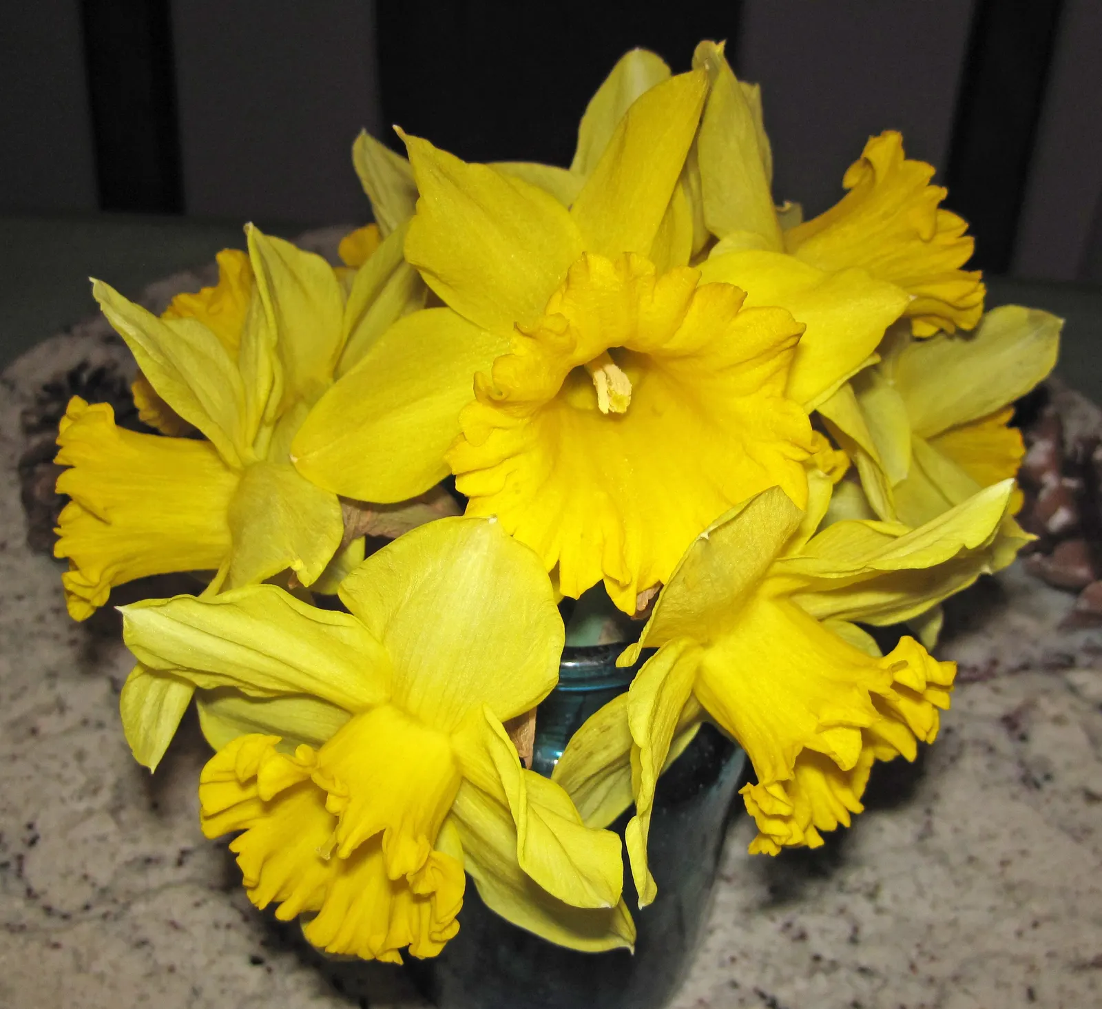 Daffodil (Narcissus Assorted Varieties) — Daffodils will provide recurrent beauty each year with minimal care