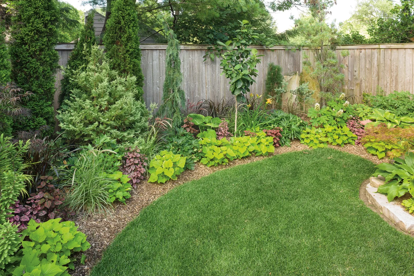 Bewitched Green With Envy™ Sweet Potato Vine (Ipomoea batatas) — where its trailing stems knit together combinations and cascade beautifully over rims