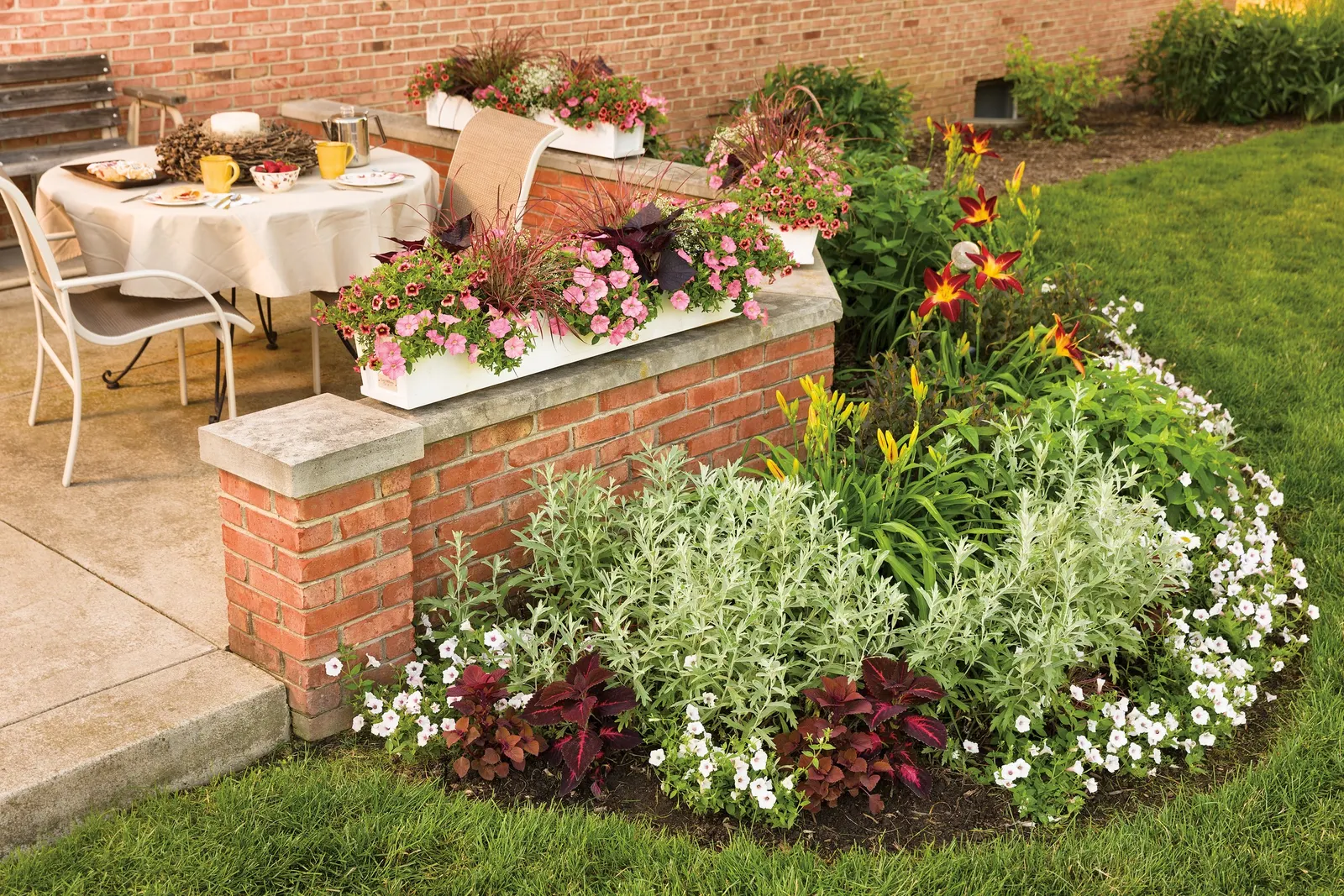 Watermelon Punch™ Calibrachoa — Its coral-pink blooms are deepened by a dramatic red-and-black eye