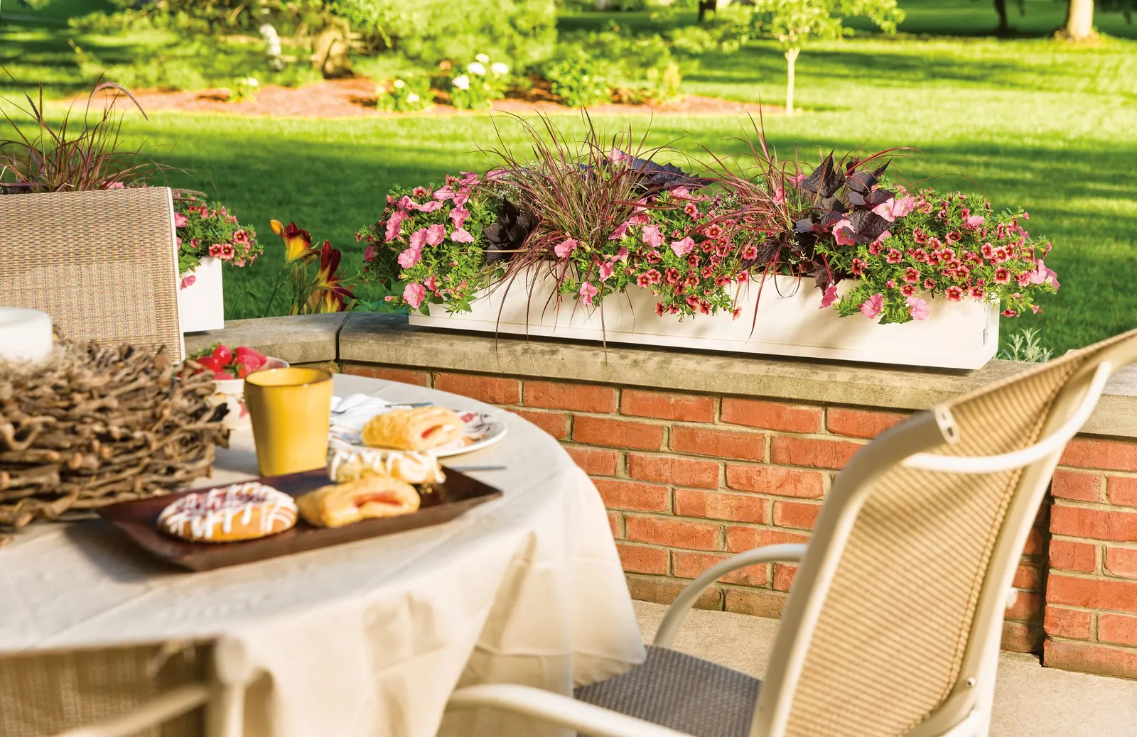 Watermelon Punch™ Calibrachoa — spilling beautifully from containers and baskets
