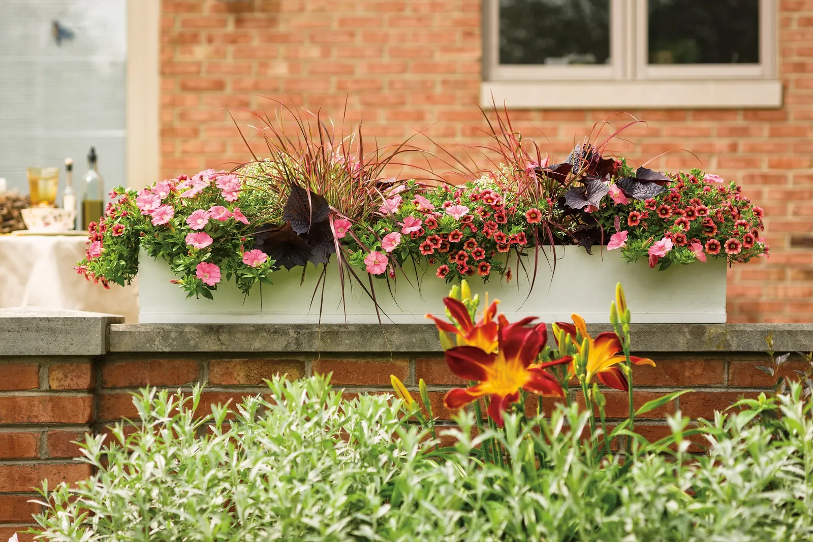 Tangerine Punch™ II Calibrachoa — and well-drained container soil