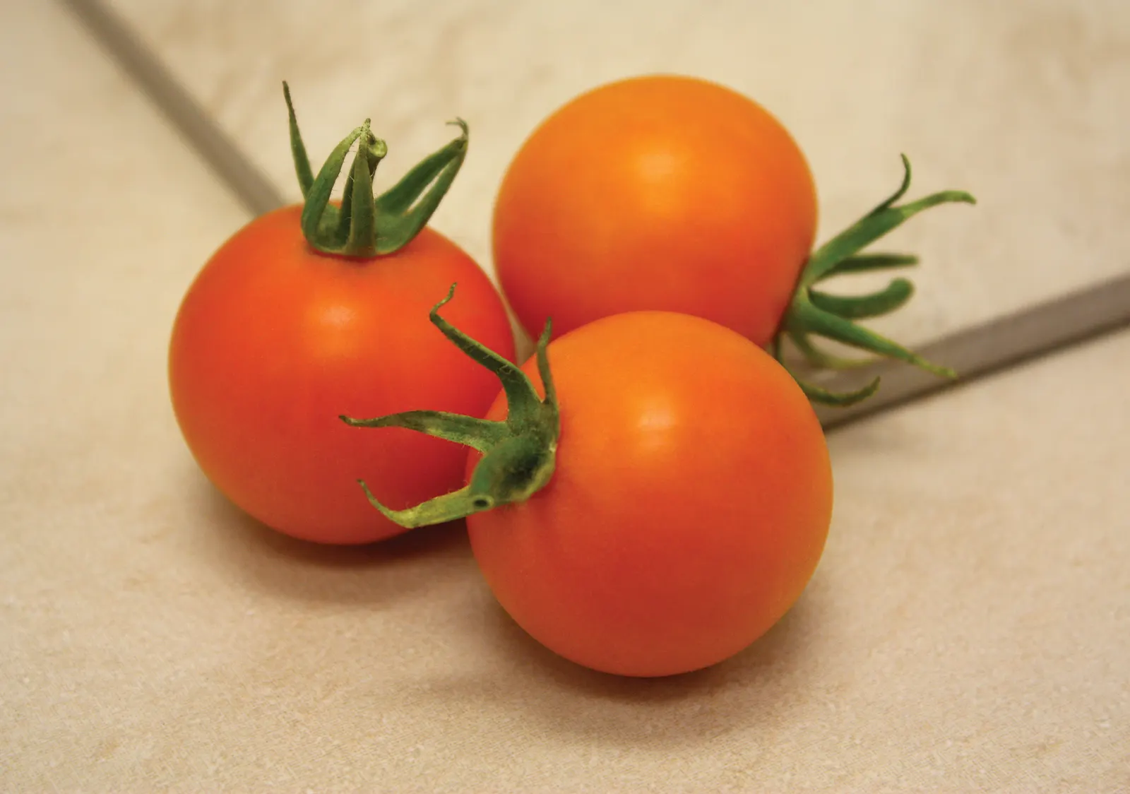 Bellini Cocktail Tomato (Solanum lycopersicum) — The Solanum lycopersicum is a mounded