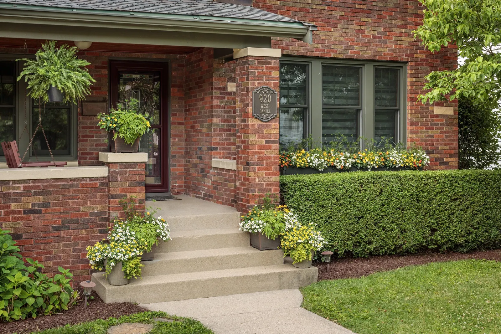 Over Easy™ II Calibrachoa — It is grown as an annual in most climates