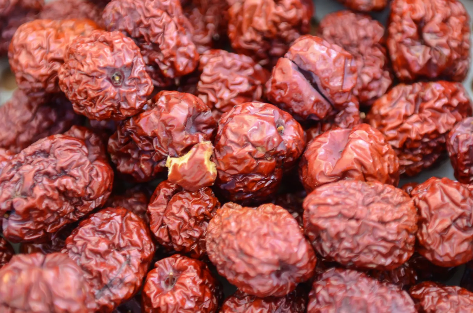 Jujube, Chinese-Date, Tsao (Ziziphus Jujuba) — at least 6 hours of direct sunlight per day
