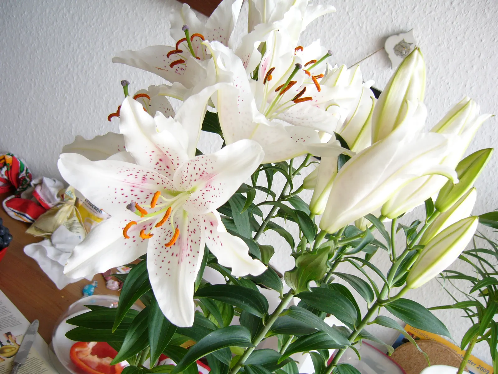 Lily Species (Lilium Hybrids) — often fragrant flowers that can captivate the senses and elevate the aesthetic of any garden