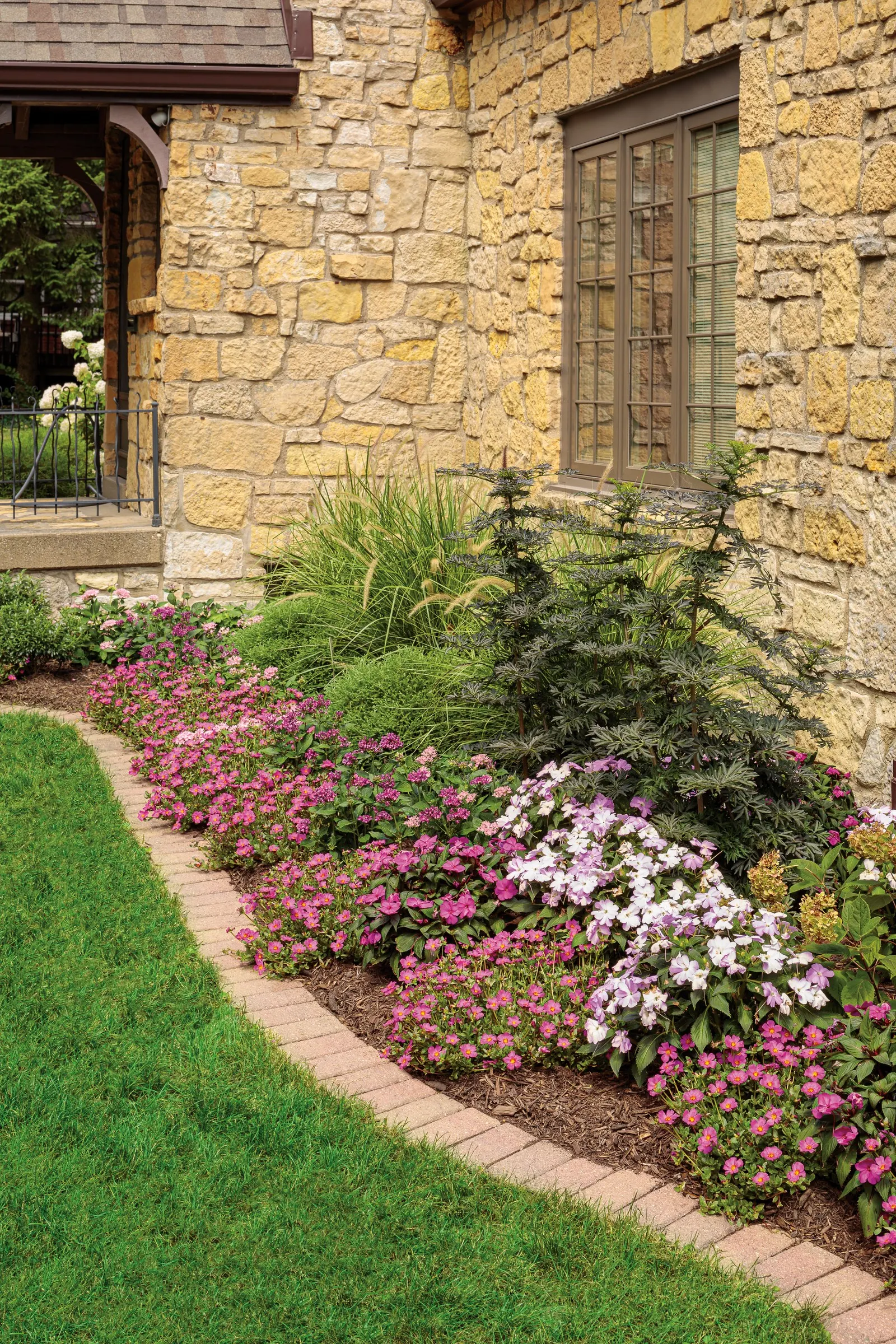 Lavender Egyptian Star Flower (Pentas lanceolata) — it blooms from planting to frost without deadheading