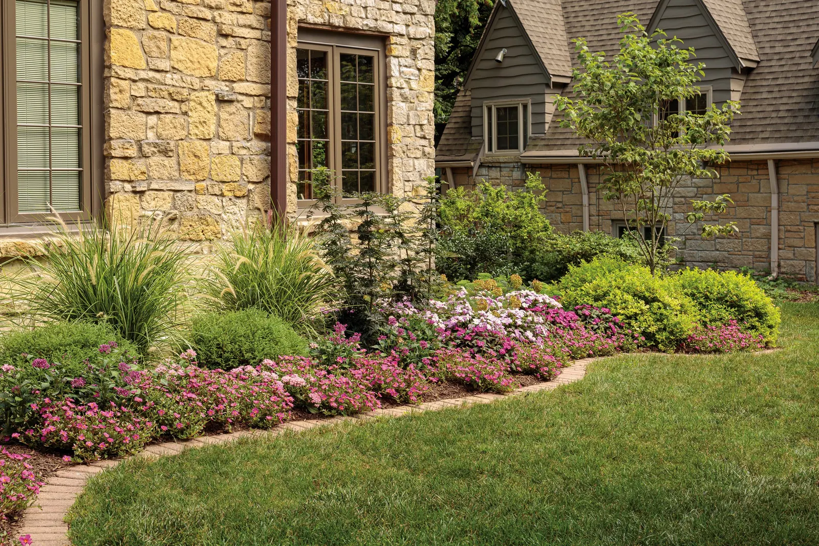 Lavender Egyptian Star Flower (Pentas lanceolata) — Part of the Proven Winners® collection