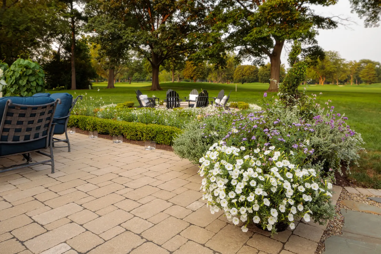 Whiteout™ Verbena — and the plant’s self-cleaning nature keeps the display polished without the need for deadheading; the blooms are large for a verbena