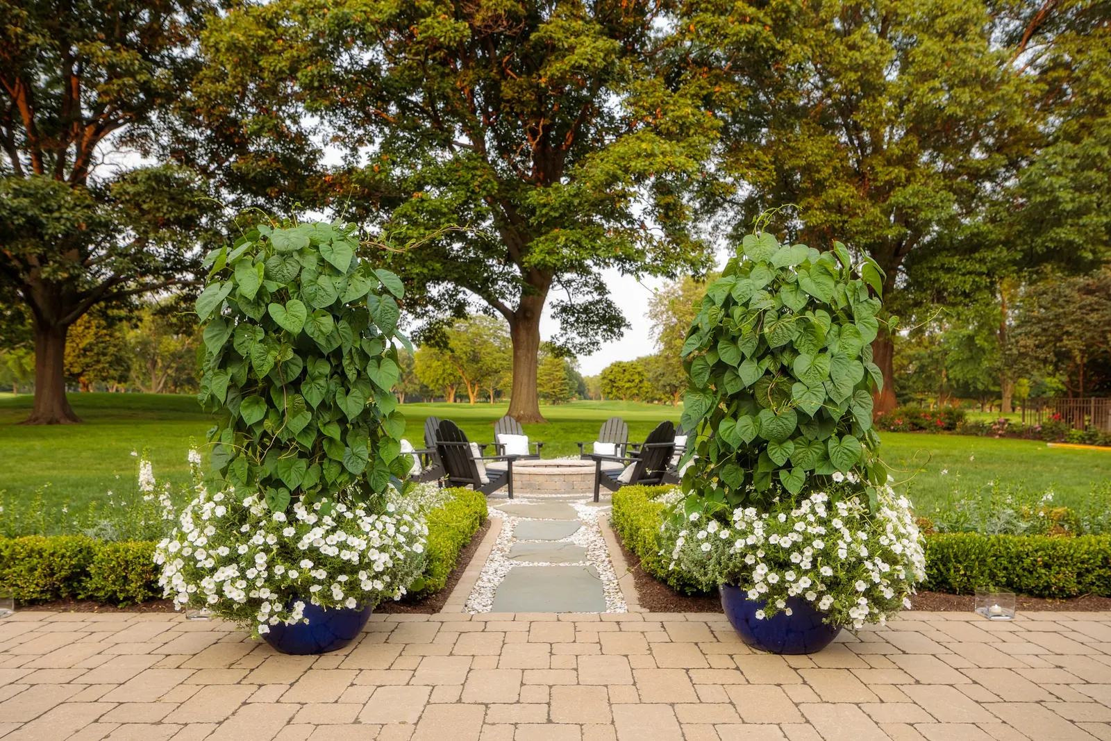 Snowdrift™ Petunia — Hardy in USDA Zones 10a-11b; medium-sized blooms appear in generous succession from planting time to hard frost