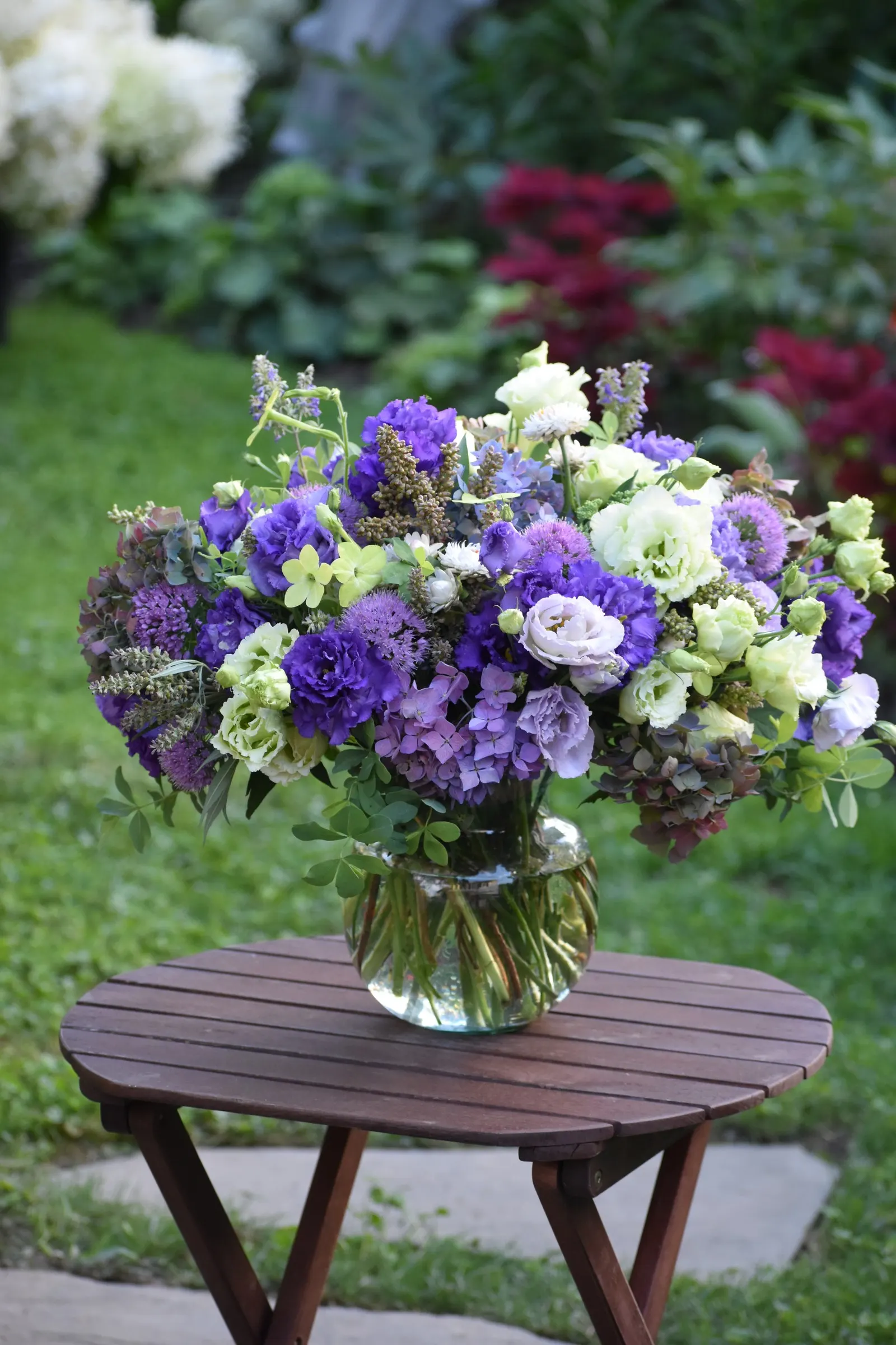 Let's Dance Lovable® Bigleaf Hydrangea (Hydrangea macrophylla) — full presence without overwhelming smaller garden spaces