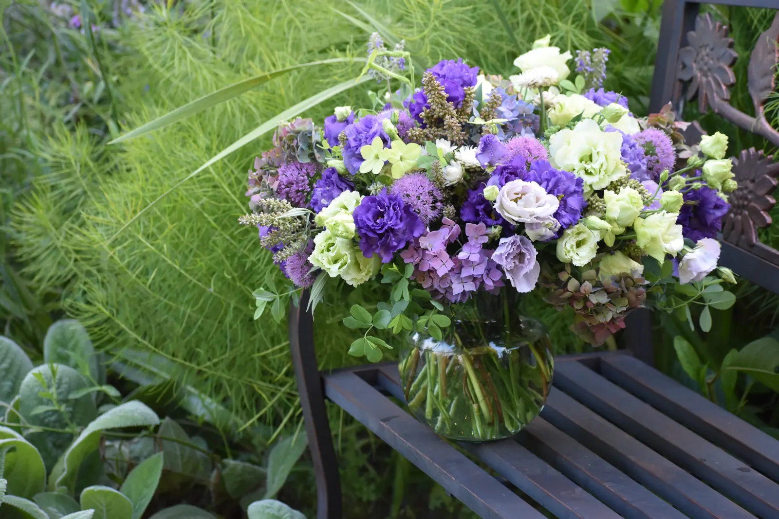 Let's Dance Lovable® Bigleaf Hydrangea (Hydrangea macrophylla) — It grows well in part sun to sun