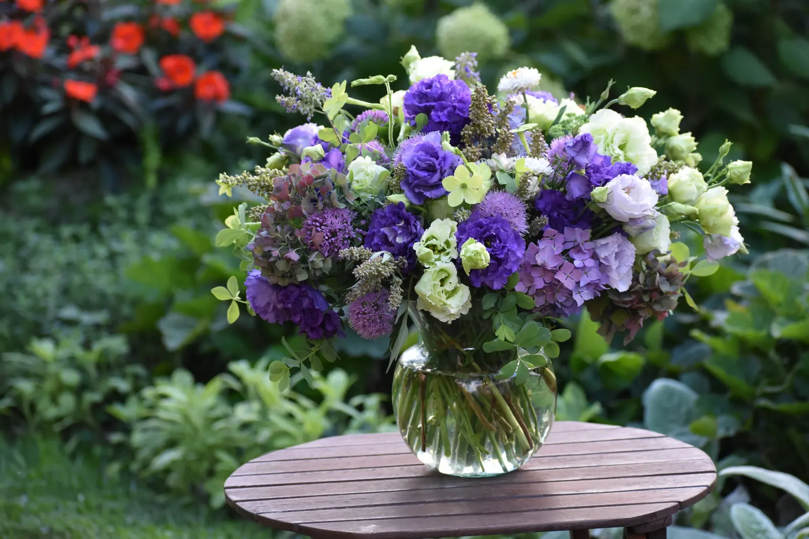Let's Dance Lovable® Bigleaf Hydrangea (Hydrangea macrophylla) — Gardeners in warmer regions often find it performs best with protection from harsh afternoon