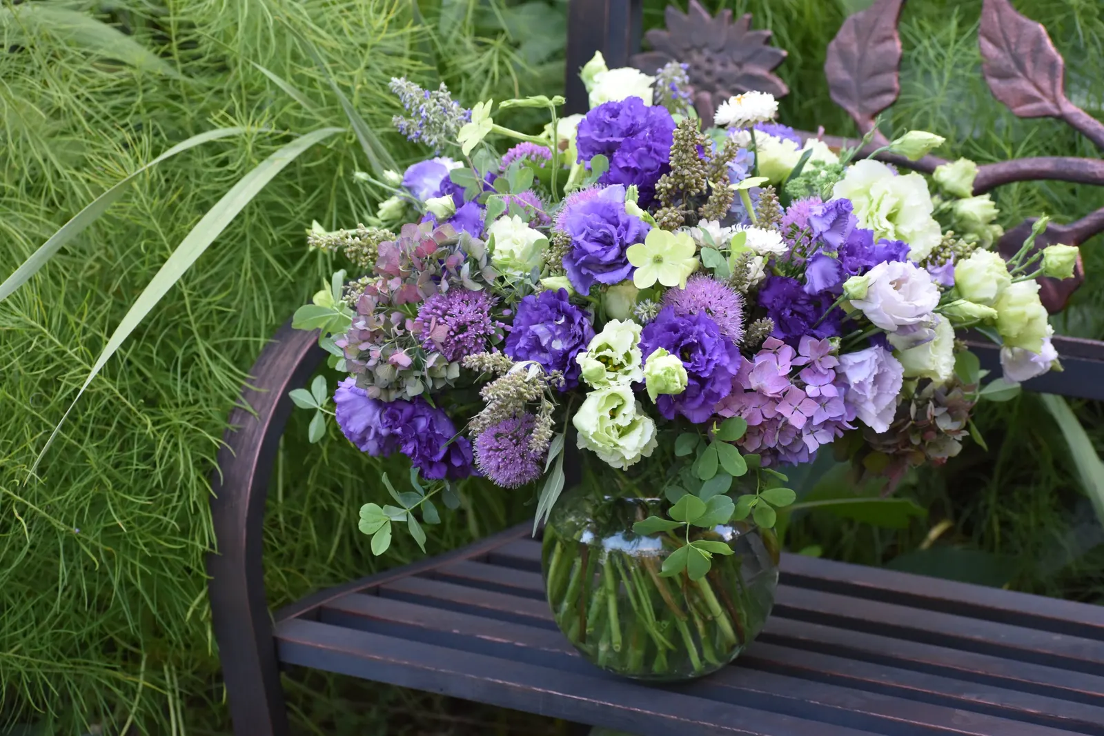 Let's Dance Lovable® Bigleaf Hydrangea (Hydrangea macrophylla) — well-drained soil and average water; afternoon shade helps in hot climates