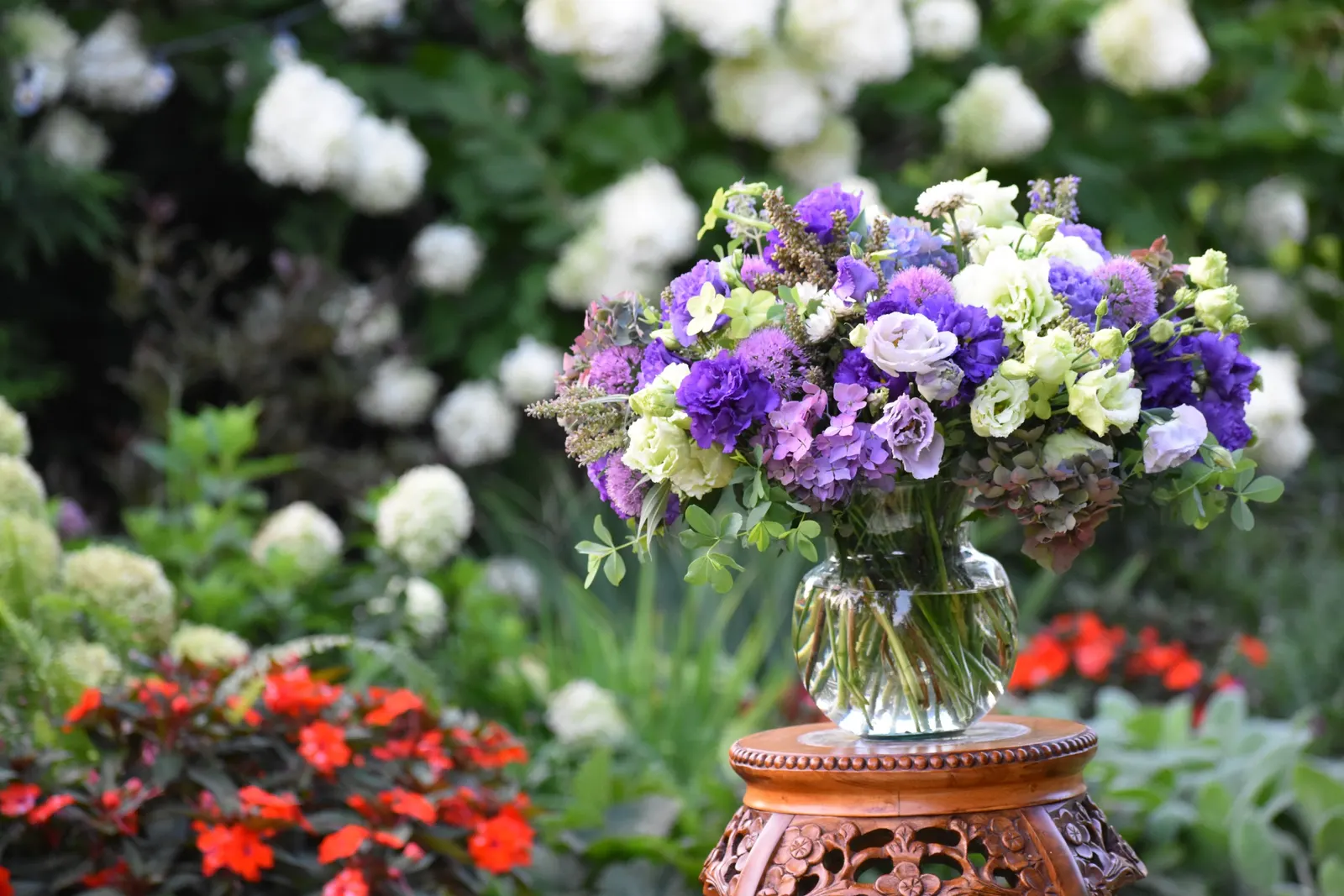 Let's Dance Lovable® Bigleaf Hydrangea (Hydrangea macrophylla) — though in southern gardens