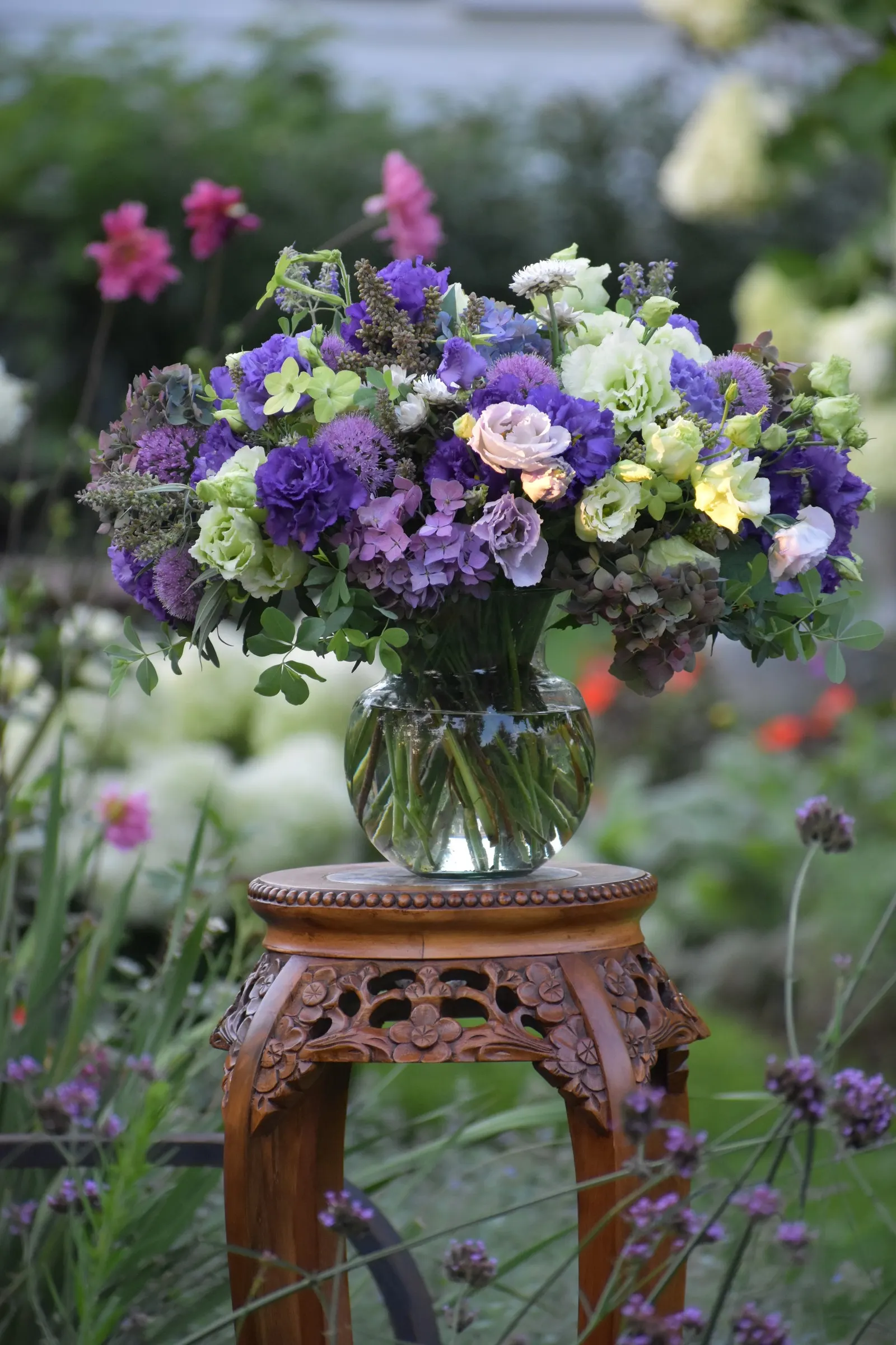 Let's Dance Lovable® Bigleaf Hydrangea (Hydrangea macrophylla) — morning sun with afternoon shade helps preserve the lush foliage and flower quality