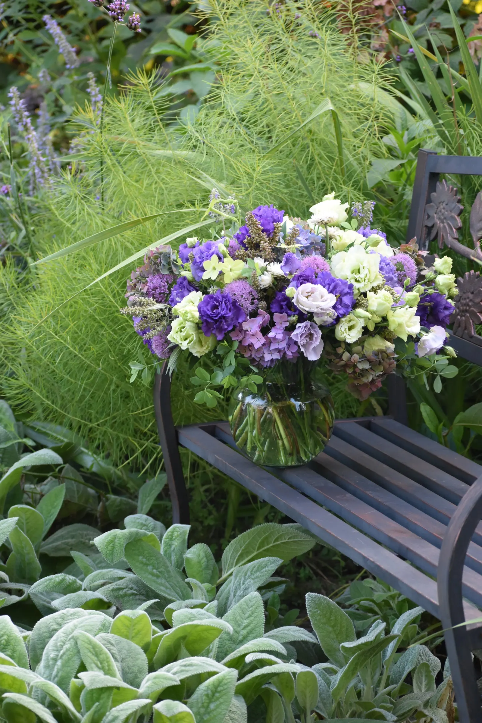 Let's Dance Lovable® Bigleaf Hydrangea (Hydrangea macrophylla) — It matures 36-48 inches tall and wide; depending on soil chemistry