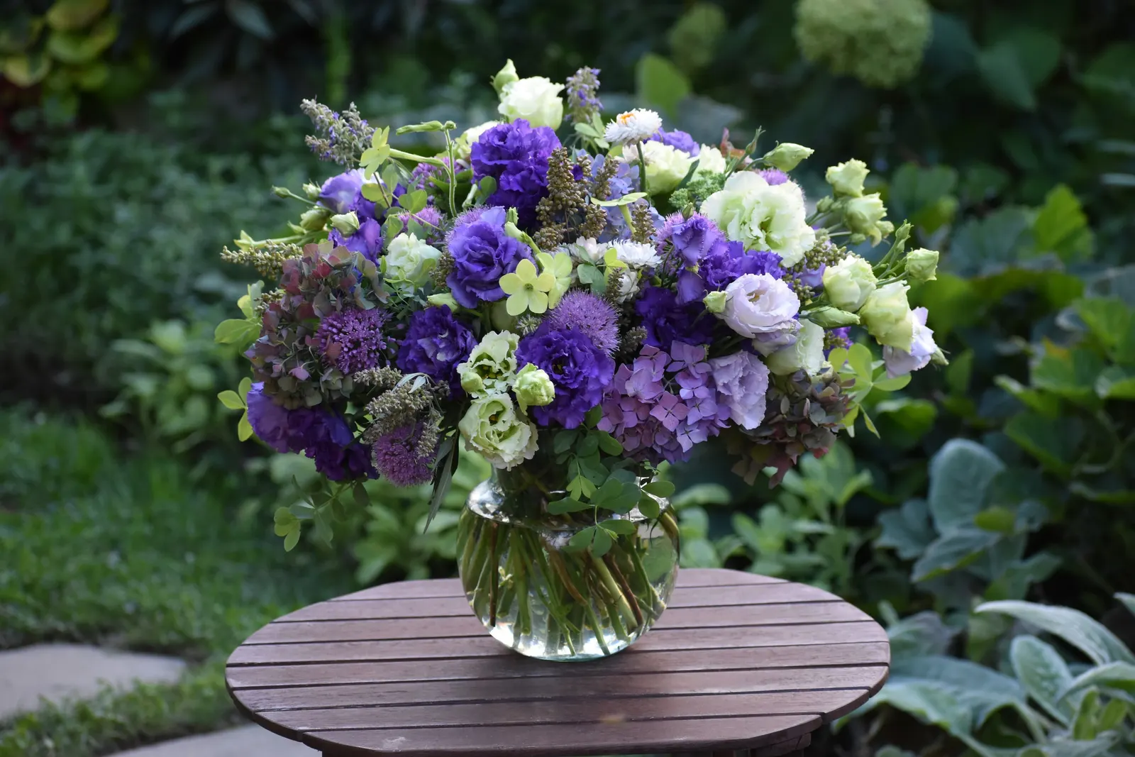 Let's Dance Lovable® Bigleaf Hydrangea (Hydrangea macrophylla) — well-drained soil and average water; afternoon shade helps in hot climates; trim lightly after