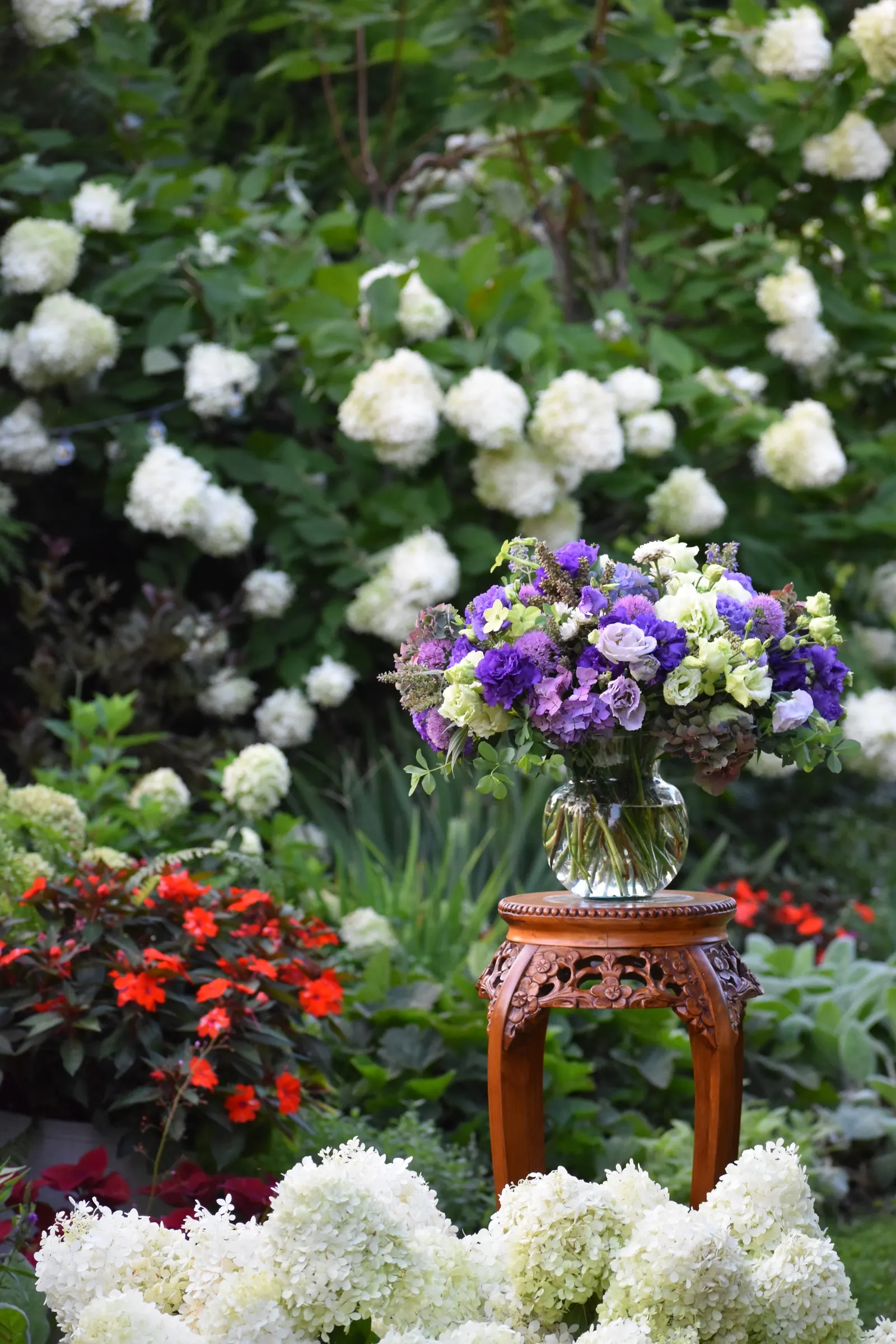 Let's Dance Lovable® Bigleaf Hydrangea (Hydrangea macrophylla) — it is well suited to mixed borders