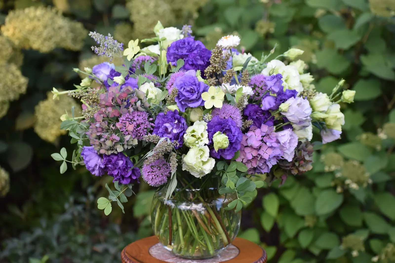 Let's Dance Lovable® Bigleaf Hydrangea (Hydrangea macrophylla) — creating a generous summer display of rounded mophead blooms