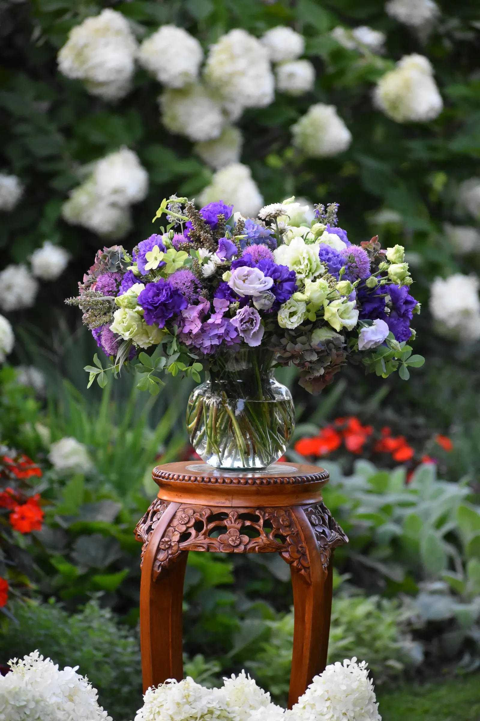 Let's Dance Lovable® Bigleaf Hydrangea (Hydrangea macrophylla) — while more alkaline soils bring out pink and purple shades