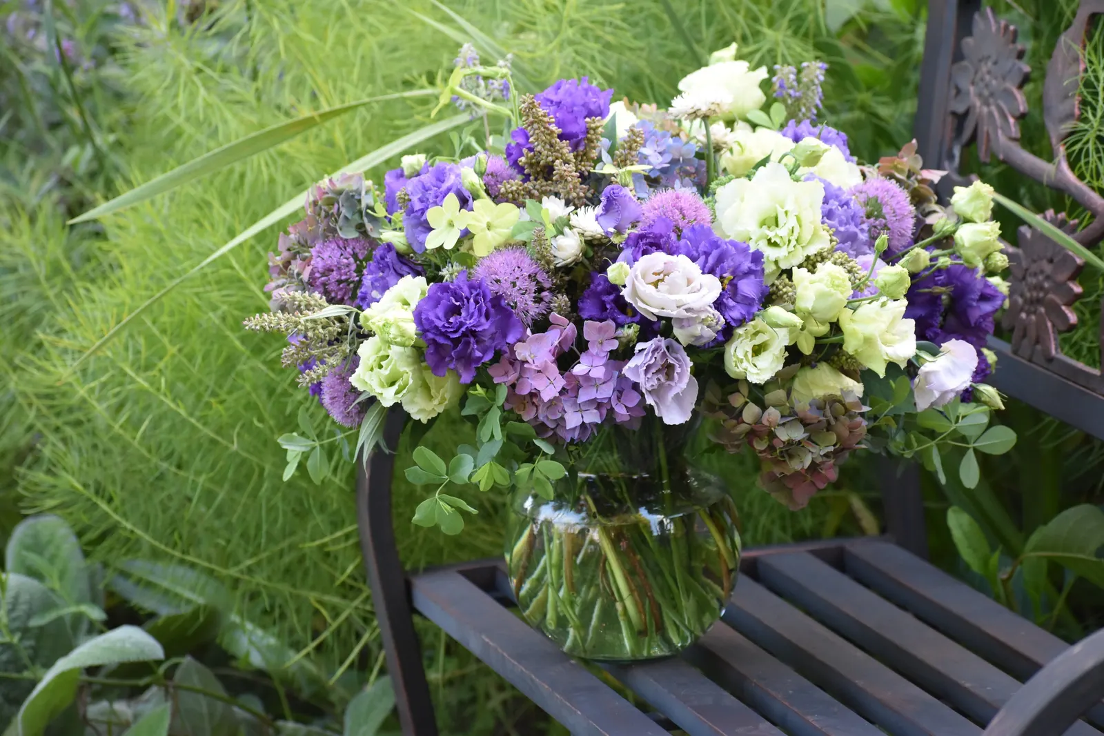 Let's Dance Lovable® Bigleaf Hydrangea (Hydrangea macrophylla) — Part of the Proven Winners® Let’s Dance® series; morning sun with afternoon shade helps