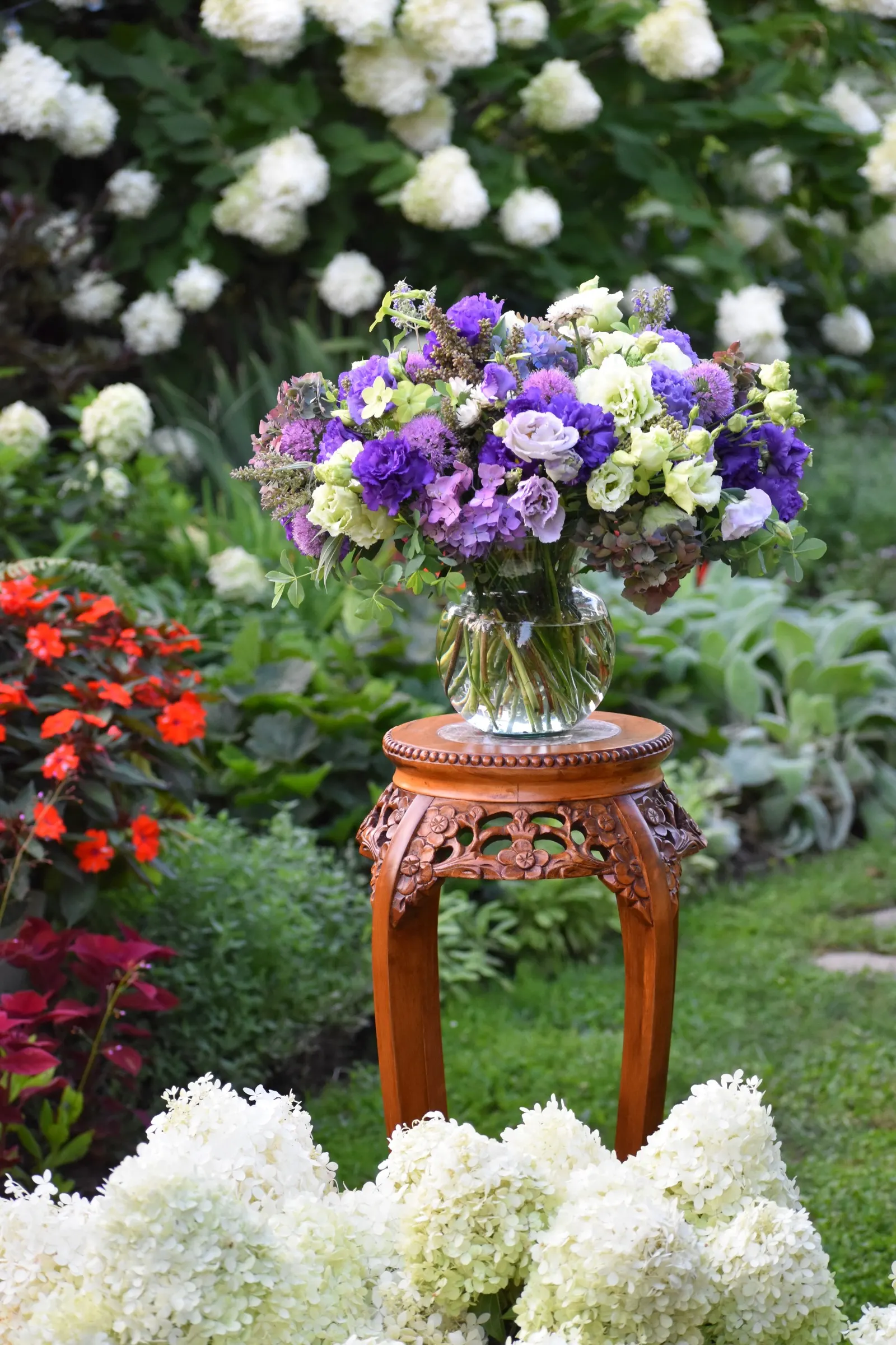 Let's Dance Lovable® Bigleaf Hydrangea (Hydrangea macrophylla) — The Hydrangea macrophylla 'Let’s Dance Lovable®'; or blue depending on soil pH