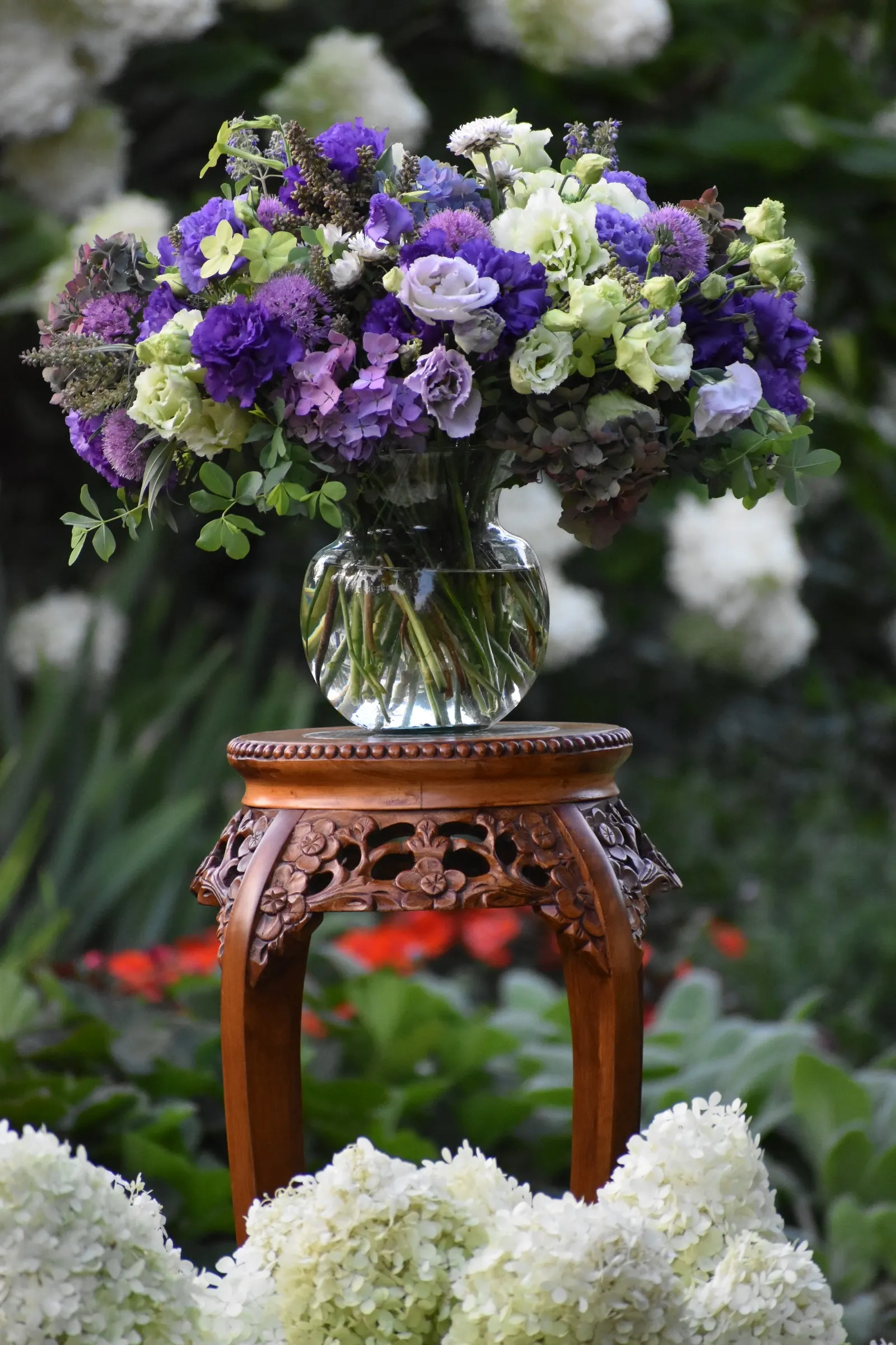 Let's Dance Lovable® Bigleaf Hydrangea (Hydrangea macrophylla) — Use it as a soft flowering anchor in perennial beds