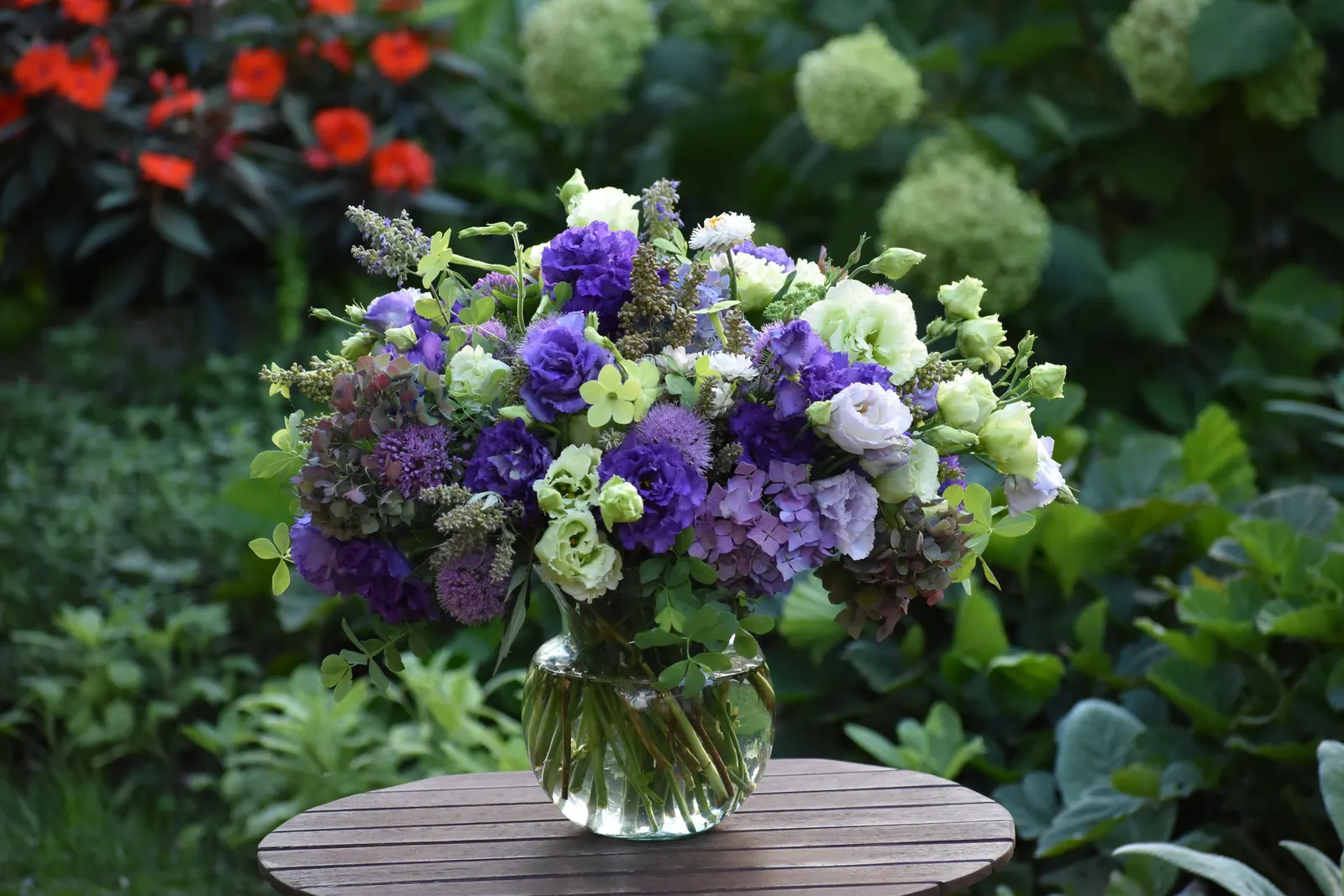 Let's Dance Lovable® Bigleaf Hydrangea (Hydrangea macrophylla) — it is valued for producing flowers on both old and new wood