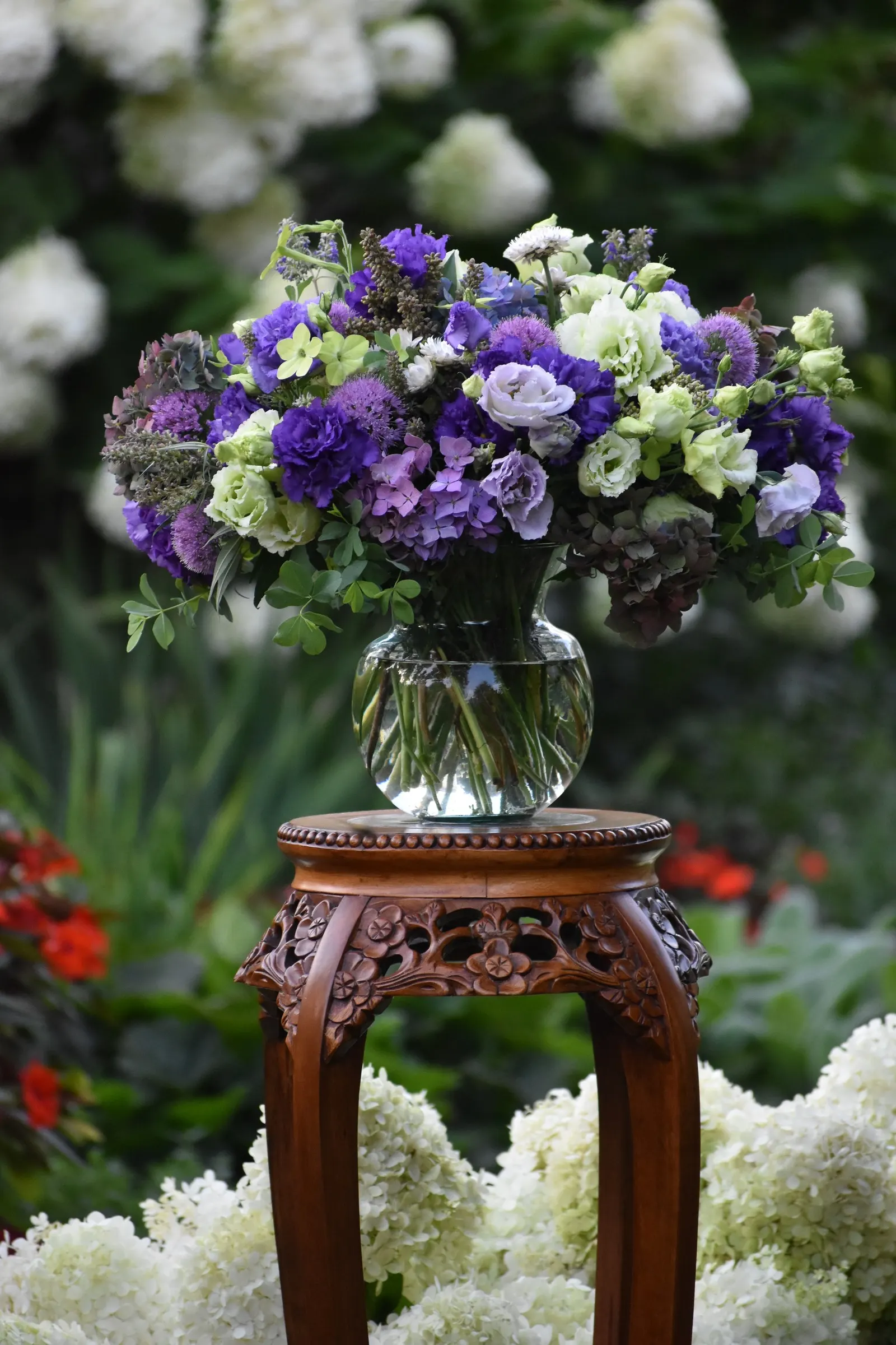 Let's Dance Lovable® Bigleaf Hydrangea (Hydrangea macrophylla) — especially during periods of heat or drought
