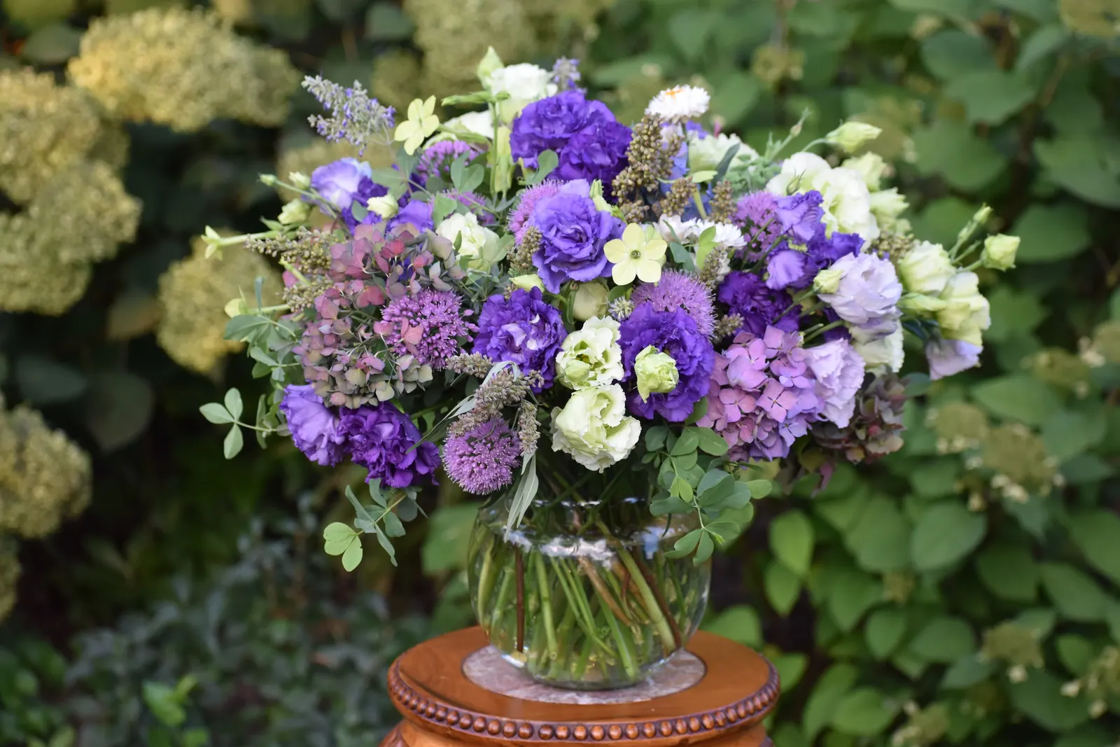 Let's Dance Lovable® Bigleaf Hydrangea (Hydrangea macrophylla) — is a mounded deciduous shrub that brings the lush romance of classic hydrangeas into a more