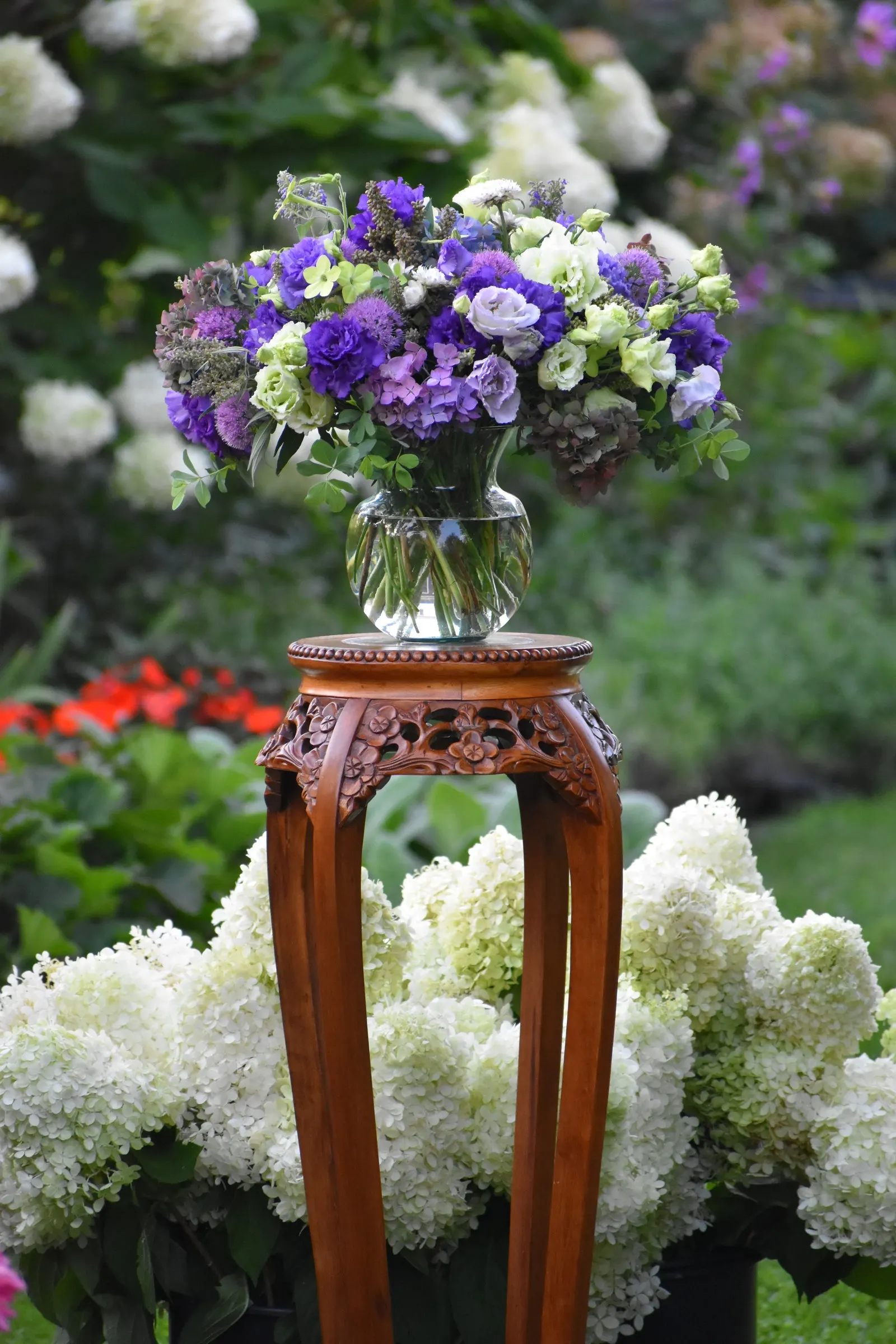 Let's Dance Lovable® Bigleaf Hydrangea (Hydrangea macrophylla) — and residential landscapes where reliable summer color is a priority