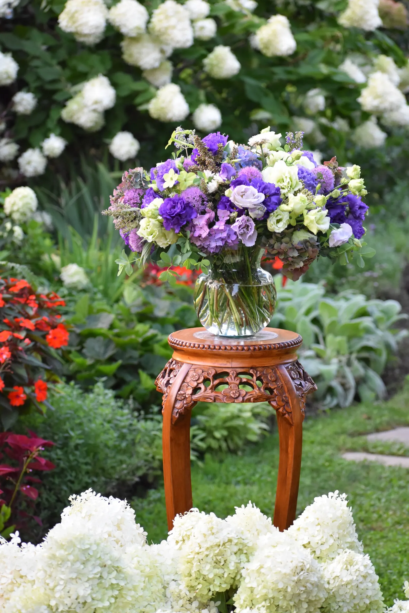 Let's Dance Lovable® Bigleaf Hydrangea (Hydrangea macrophylla) — Its substantial blooms are excellent for fresh arrangements and dry beautifully