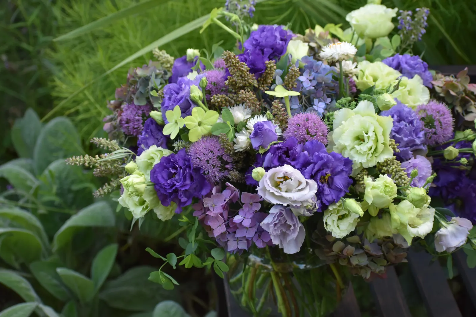 Let's Dance Lovable® Bigleaf Hydrangea (Hydrangea macrophylla) — Plant in part sun to sun with moist