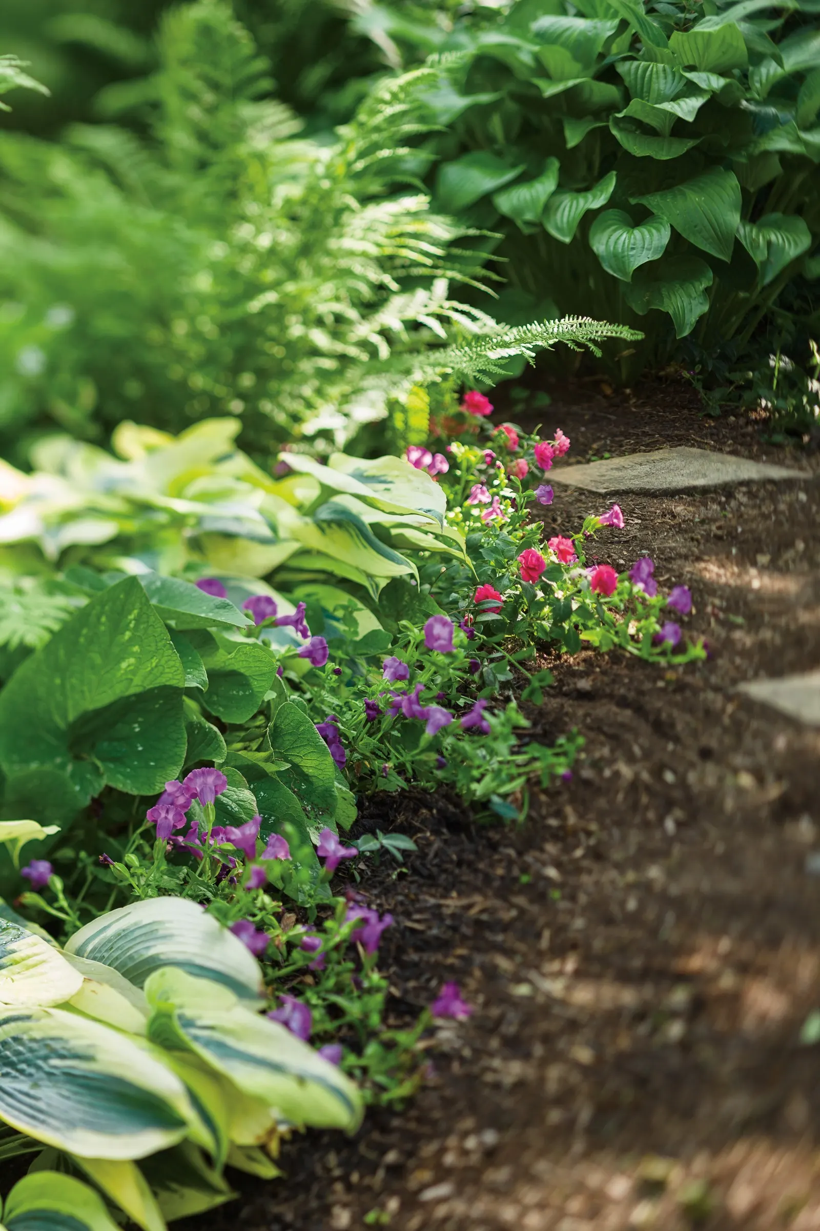 Coral Reef Double Impatiens (Impatiens walleriana) — provide them with a shady location; no deadheading necessary for this colorful shade annuals, image 45