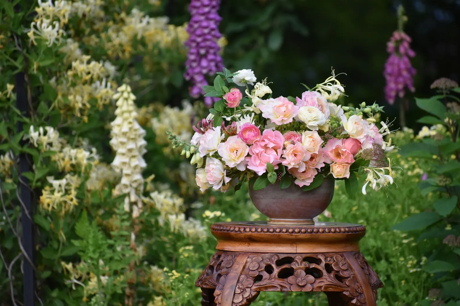 Double Play Big Bang® Spirea (Spiraea x) — and perfectly pretty pink flowers in spring; that's what makes it a perfect Double Play
