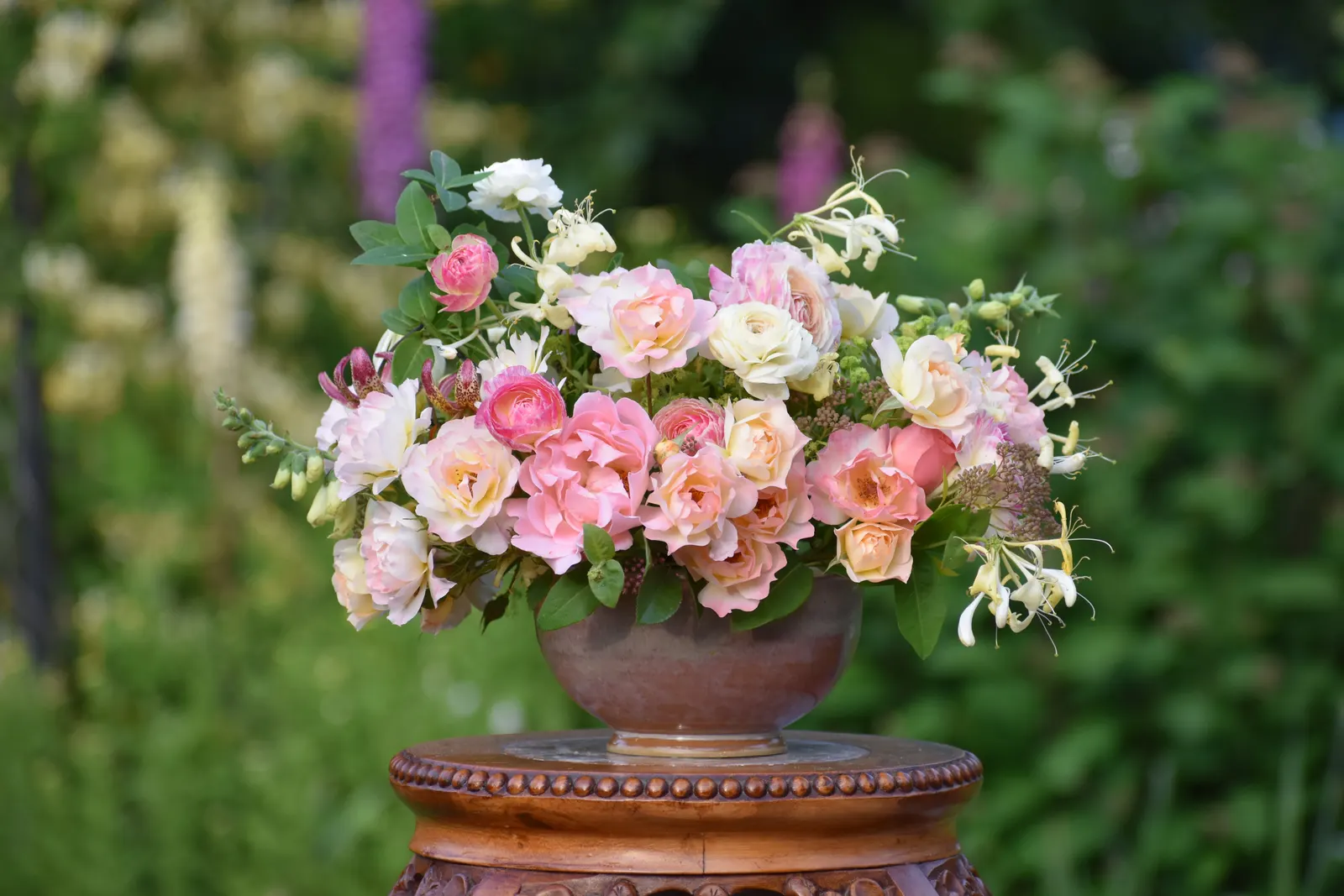 Double Play Big Bang® Spirea (Spiraea x) — Check out the complete guide to growing spirea