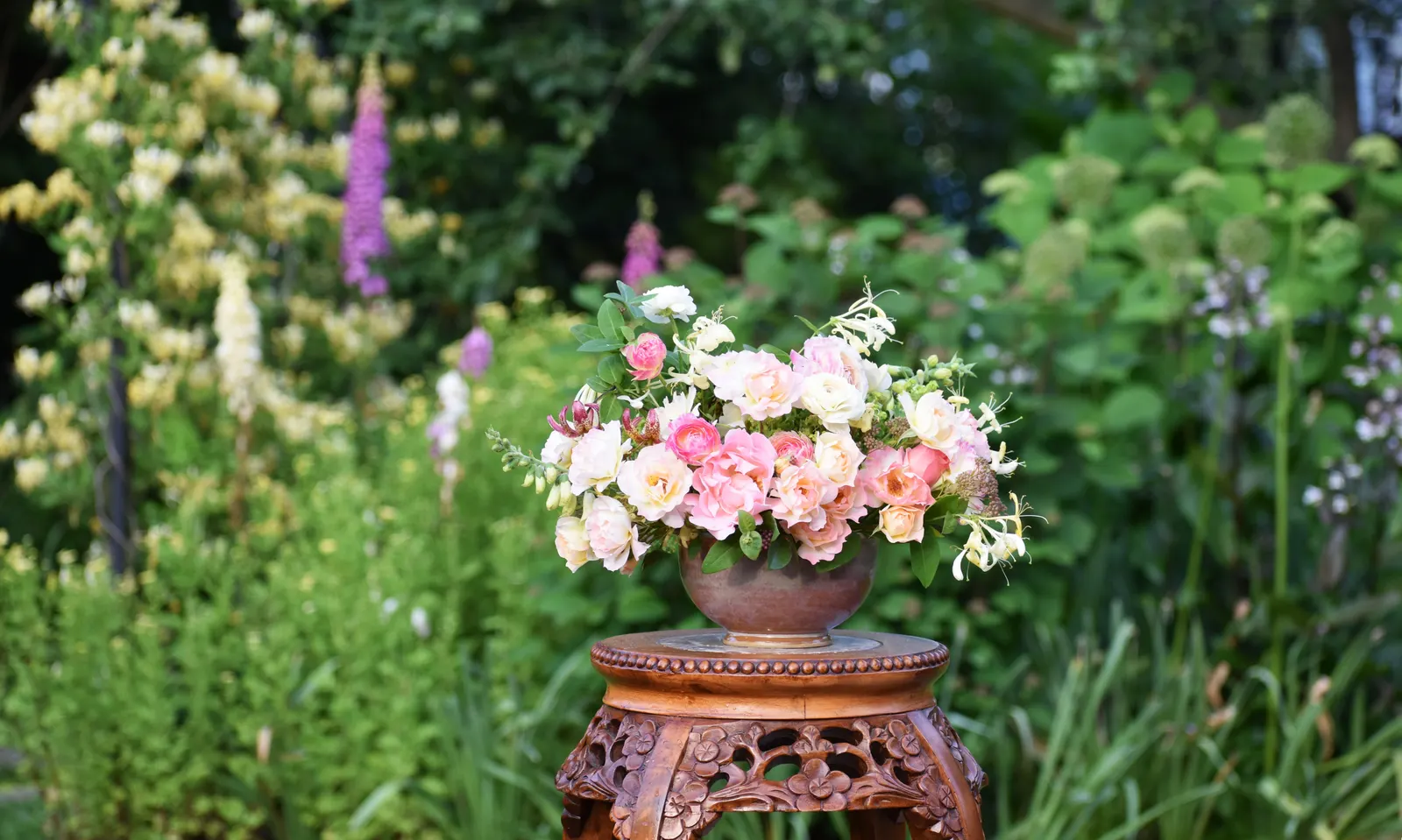 Double Play Big Bang® Spirea (Spiraea x) — Apply a controlled release fertilizer in spring, and trim as needed to shape