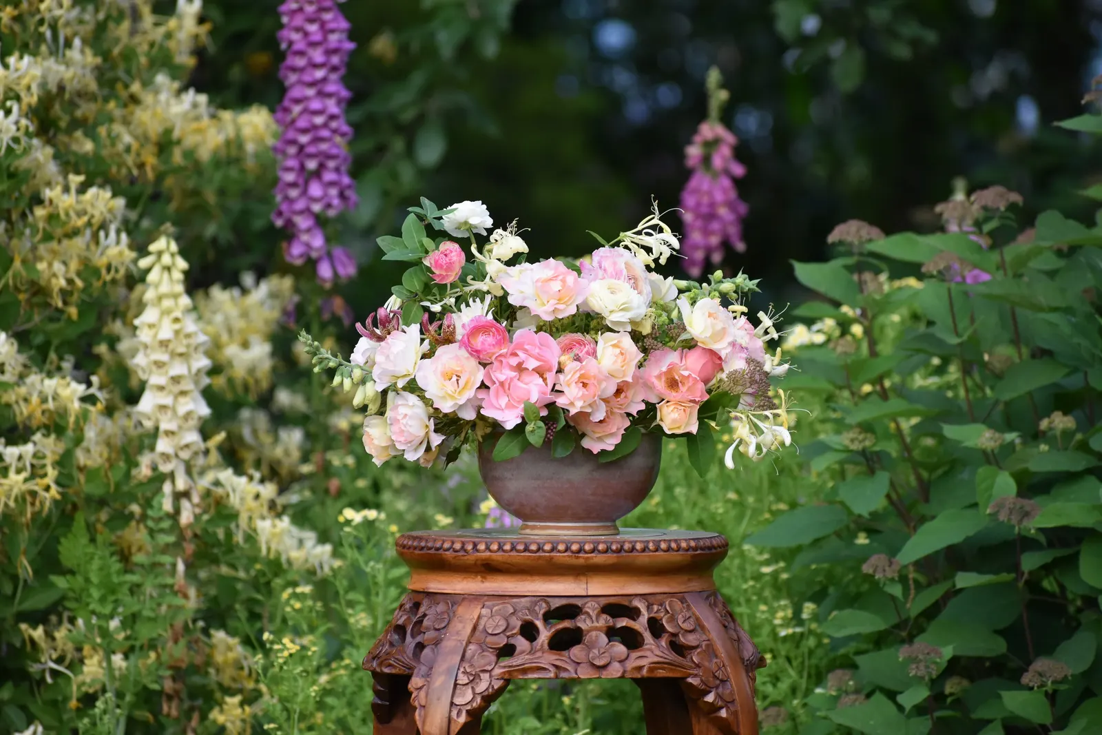 Double Play Big Bang® Spirea (Spiraea x) — Japanese pink spirea shrub comes by its popularity earnestly: durable