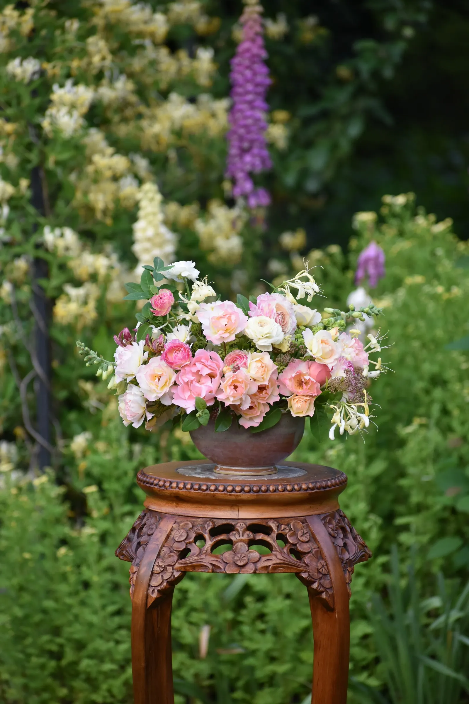 Double Play Big Bang® Spirea (Spiraea x) — and perfectly pretty pink flowers in spring