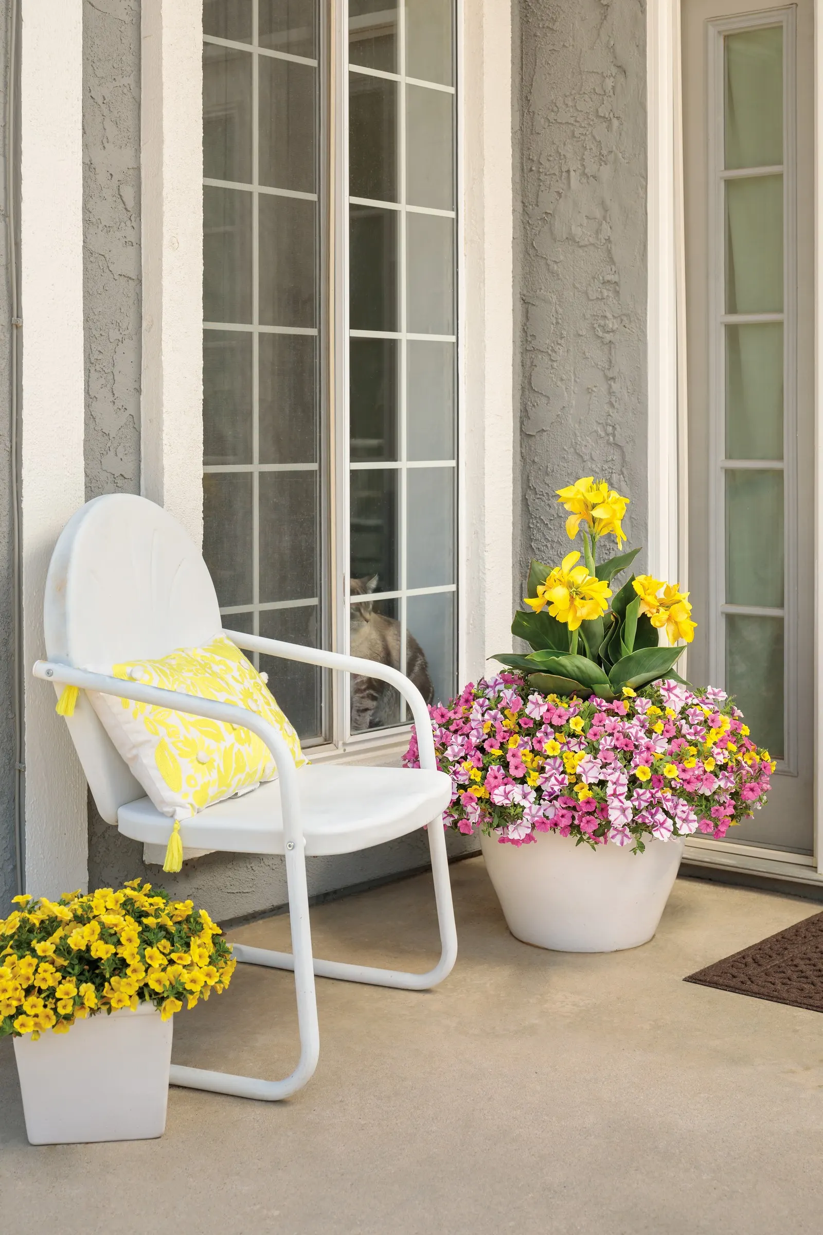 Lovie Dovie™ Petunia — Hardy in USDA Zones 10a-11b