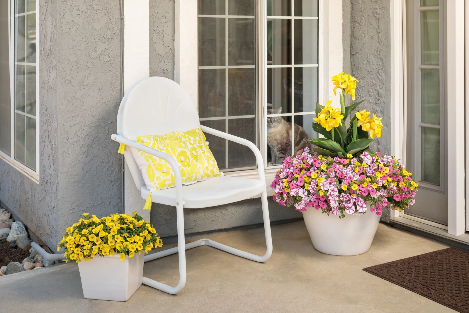 Lovie Dovie™ Petunia — it is easy care and needs no deadheading