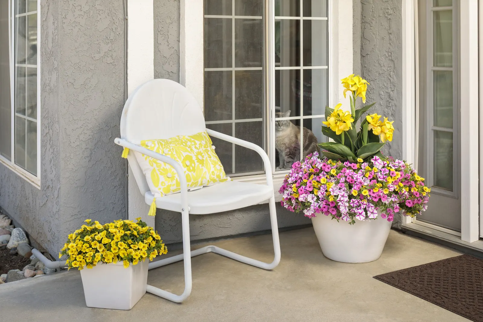 Yellow IV Calibrachoa — but the top of the soil should be allowed to dry slightly between waterings; as calibrachoa dislikes persistently wet roots
