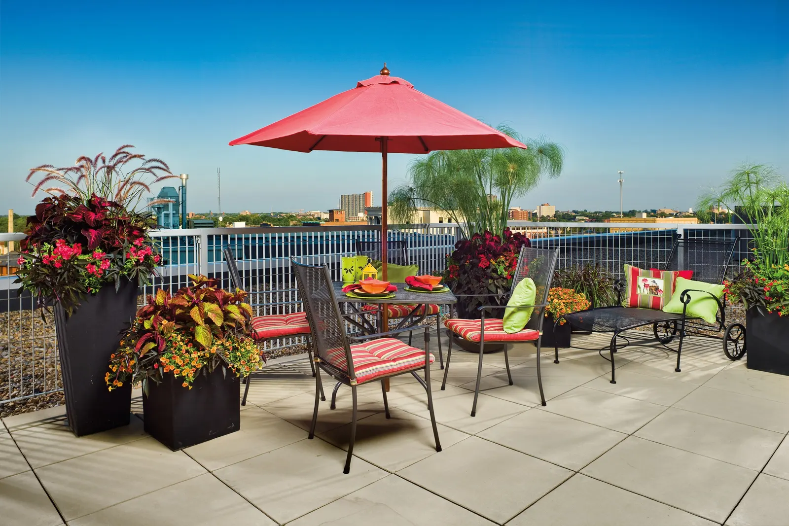 Velveteen® Coleus (Coleus scutellarioides) — though its richest color is best supported by consistent moisture and average