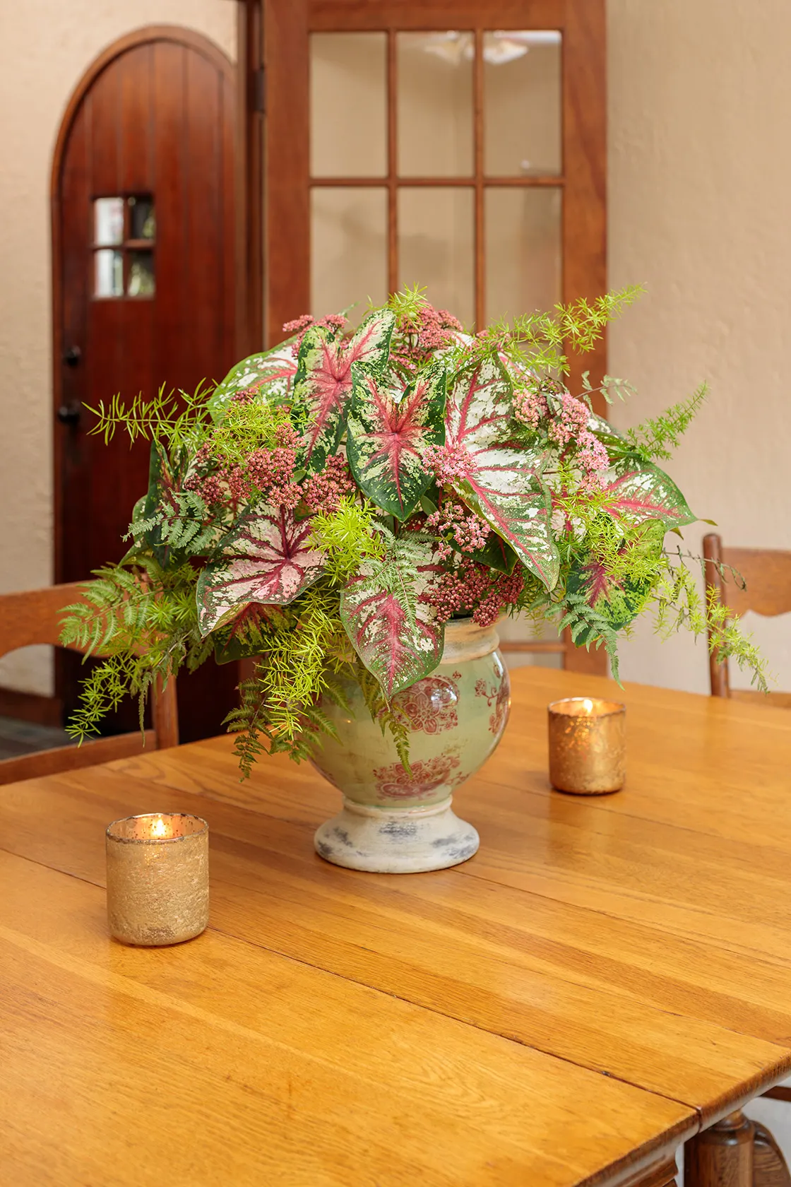 Flatter Me Sun or Shade Caladium (Caladium hortulanum) — Avoid cold, soggy soils, and wait to plant until temperatures remain above 65°F