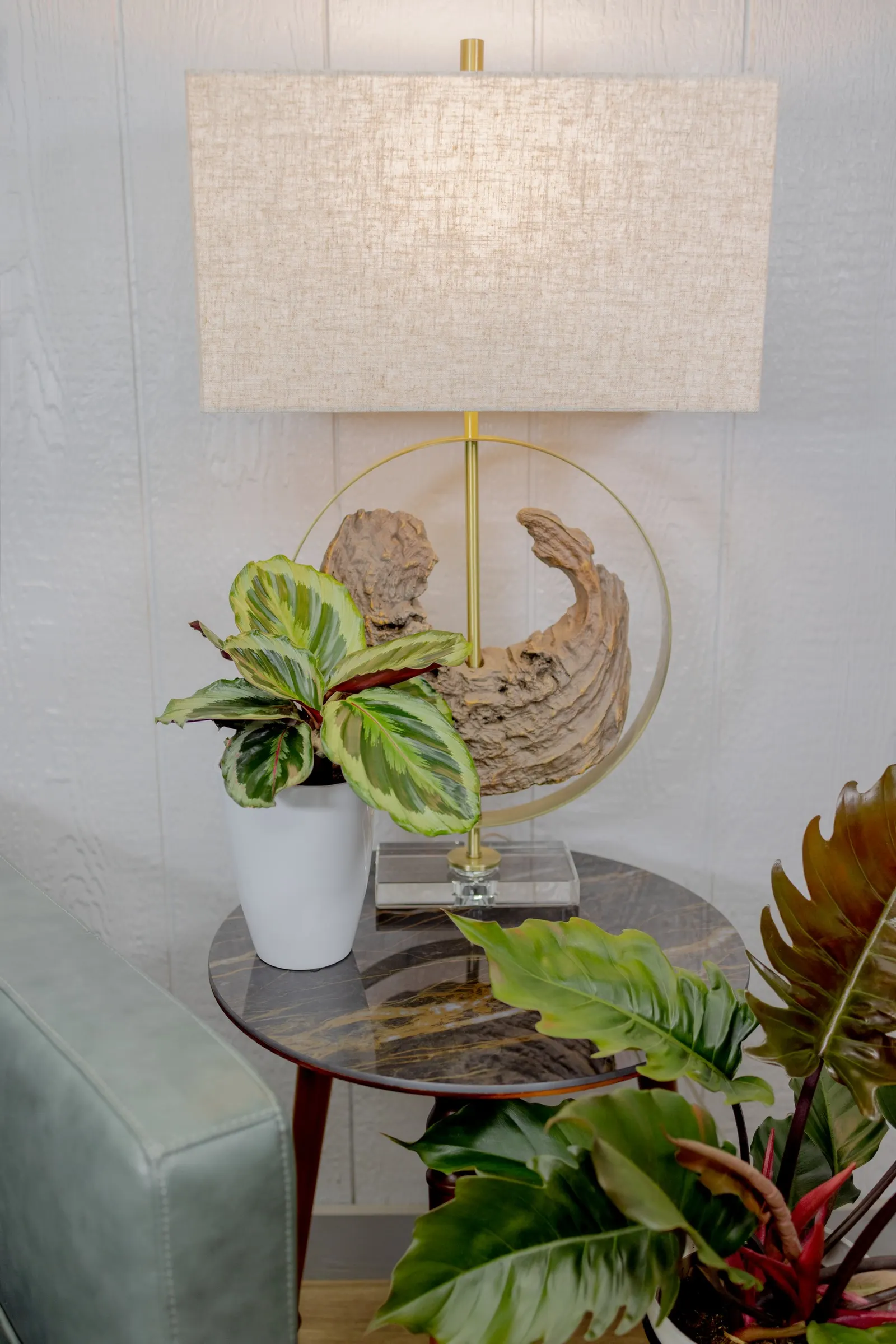 Like a Prayer™ Prayer Plant (Calathea roseopicta) — is an upright tropical houseplant with rounded green leaves patterned in concentric rings