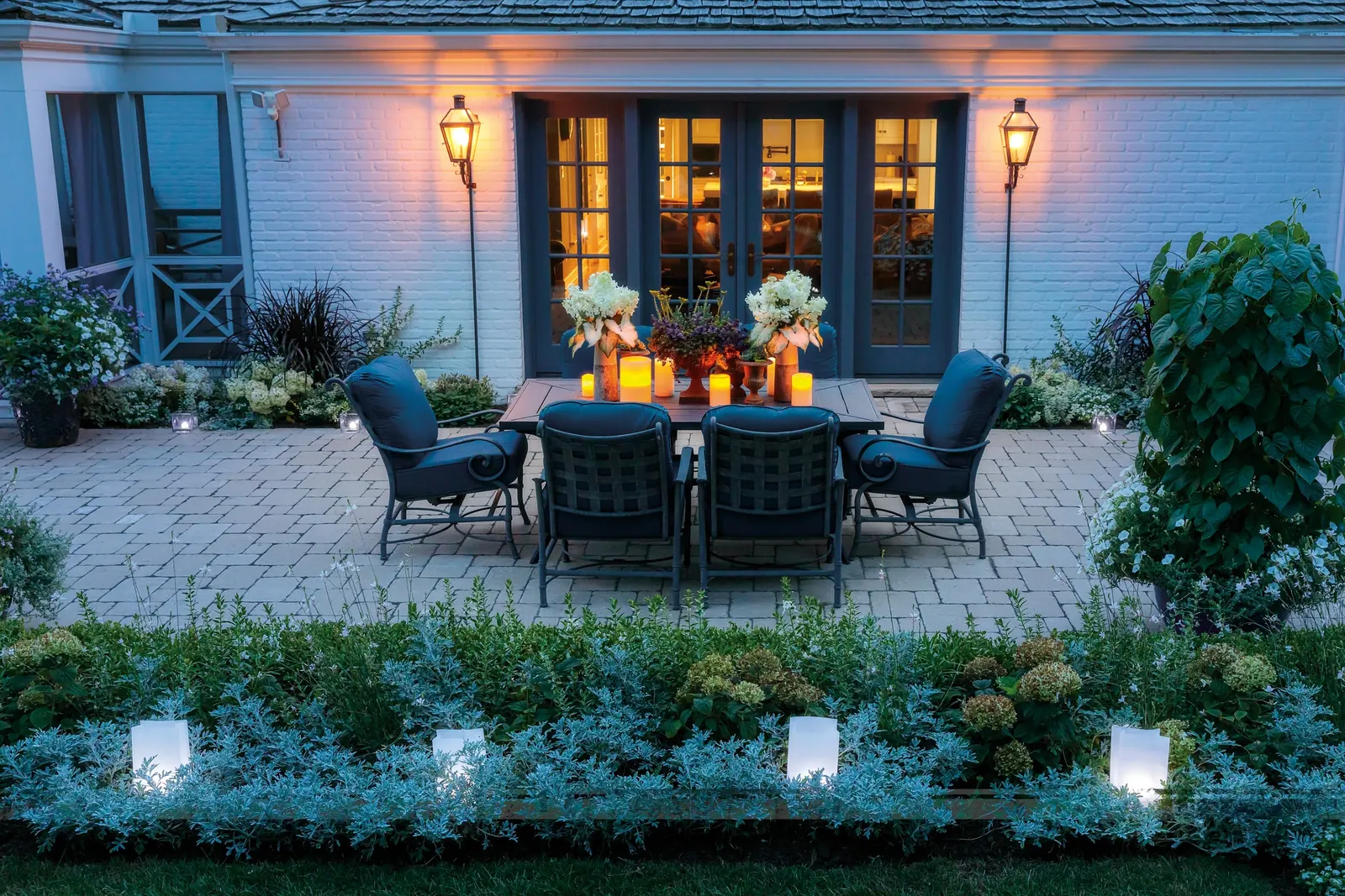 Fire Light Tidbit® Panicle Hydrangea (Hydrangea paniculata) — it offers exceptional cold tolerance while still performing across warmer regions with