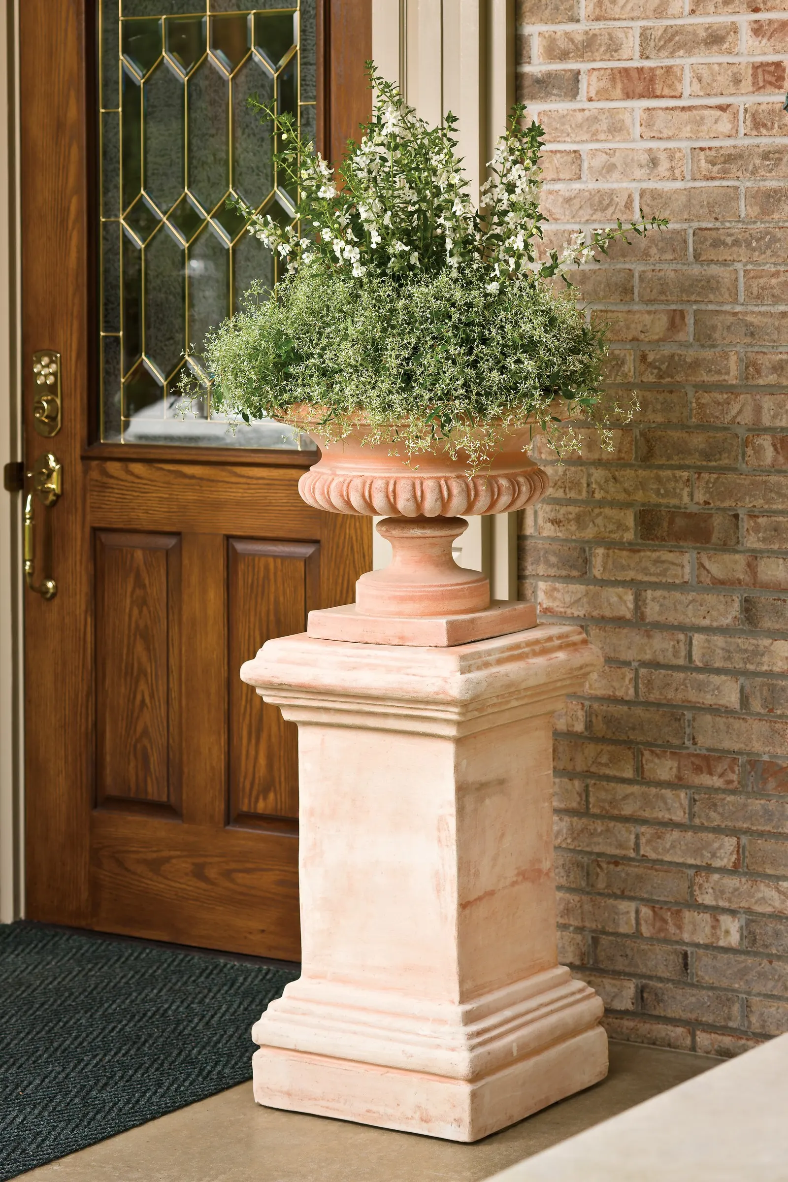 Super White Summer Snapdragon (Angelonia) — creating a crisp vertical accent from planting until frost