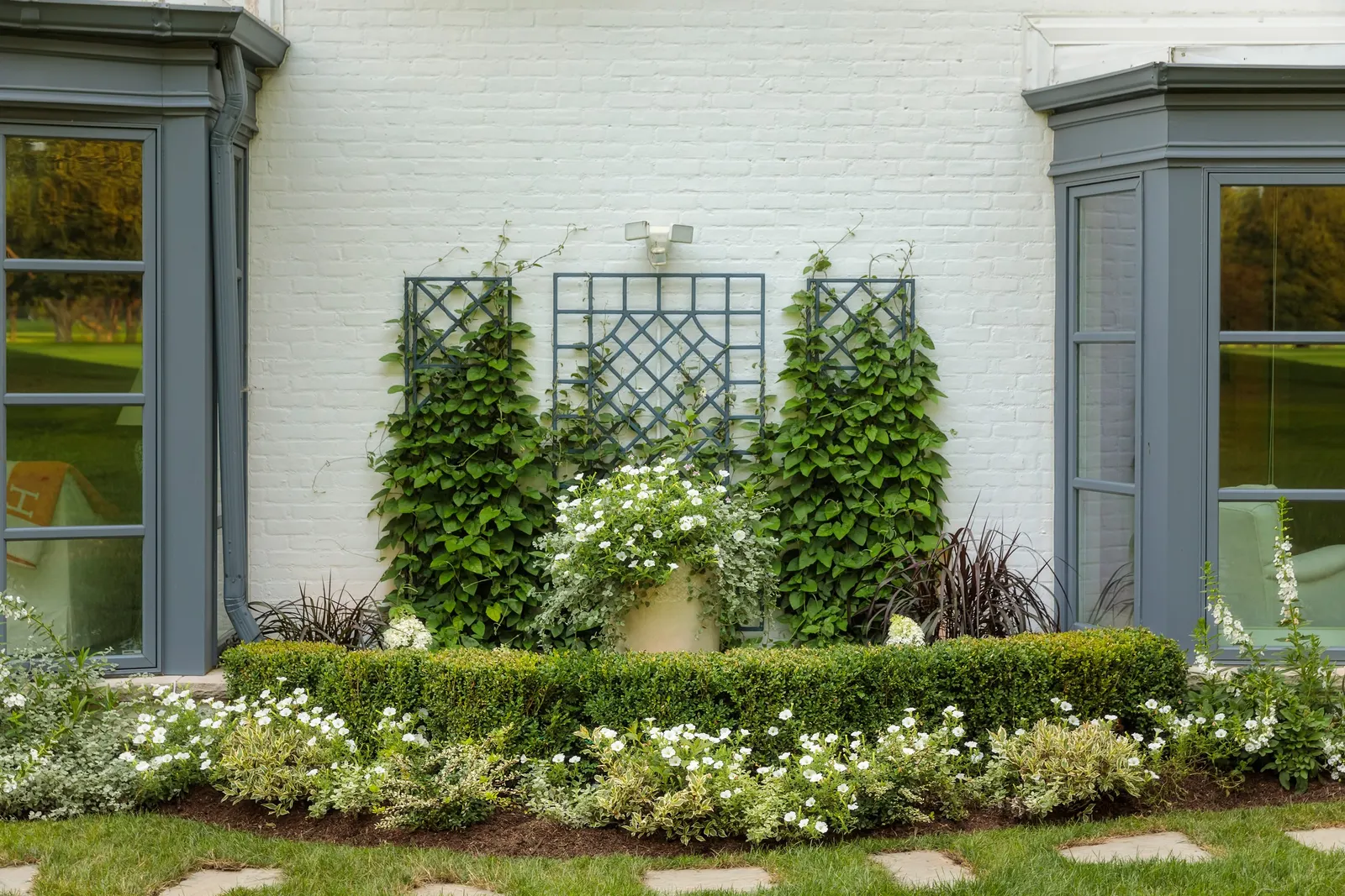 Super White Summer Snapdragon (Angelonia) — The Angelonia 'Super White' is an upright annual with pure white