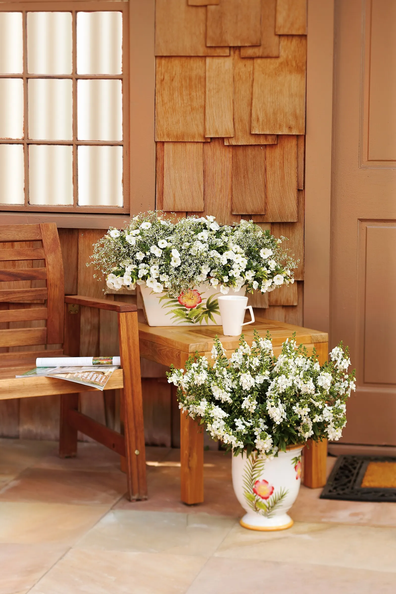White III Calibrachoa — sparkling effect against neat green foliage